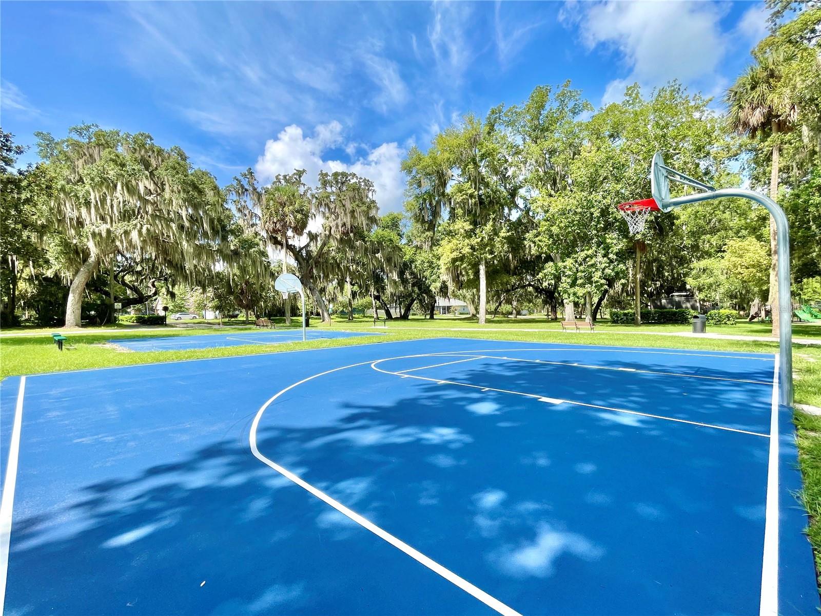 111 MILLHOLLAND ST, OAKLAND, FL, 34760