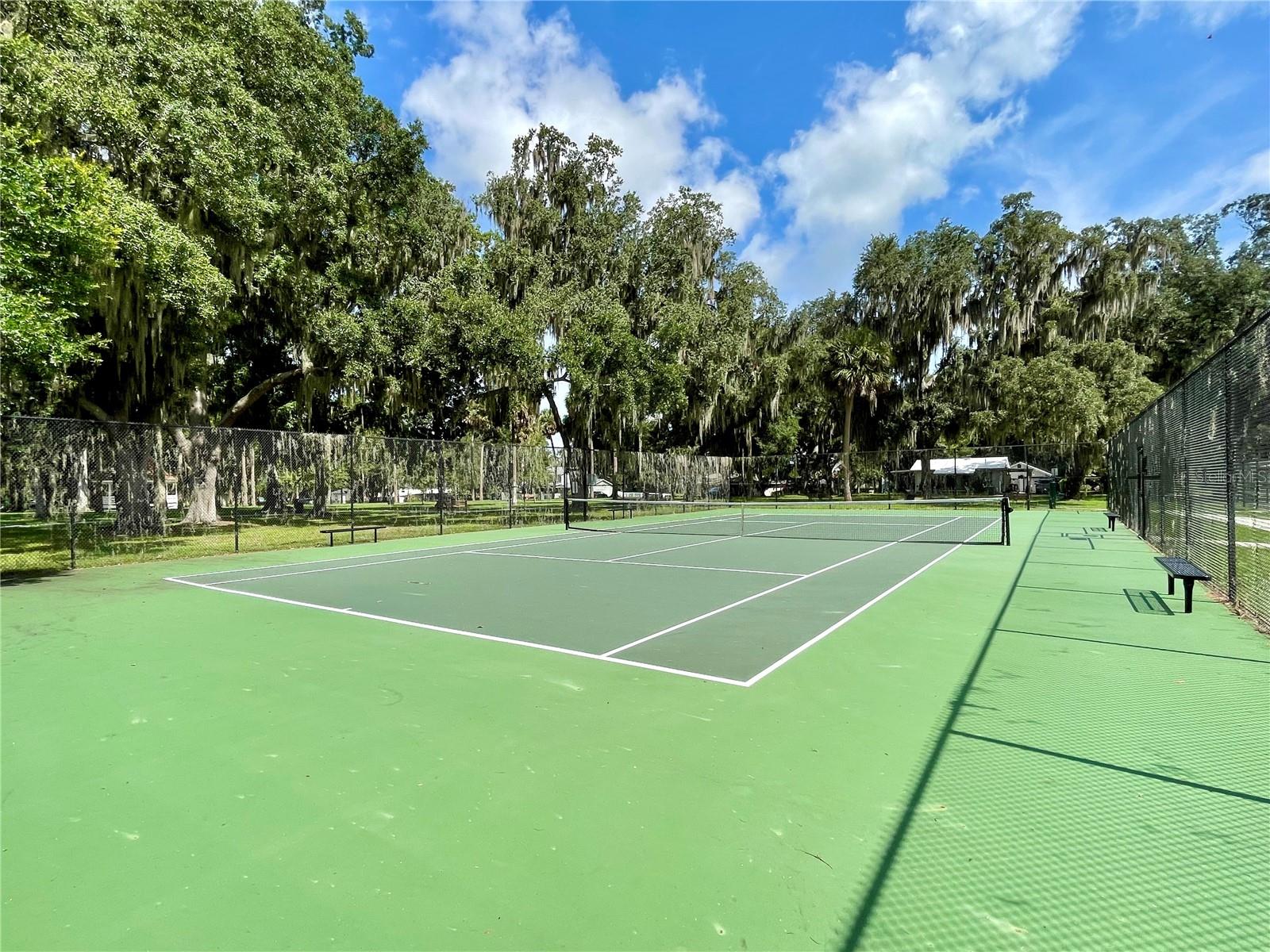 111 MILLHOLLAND ST, OAKLAND, FL, 34760