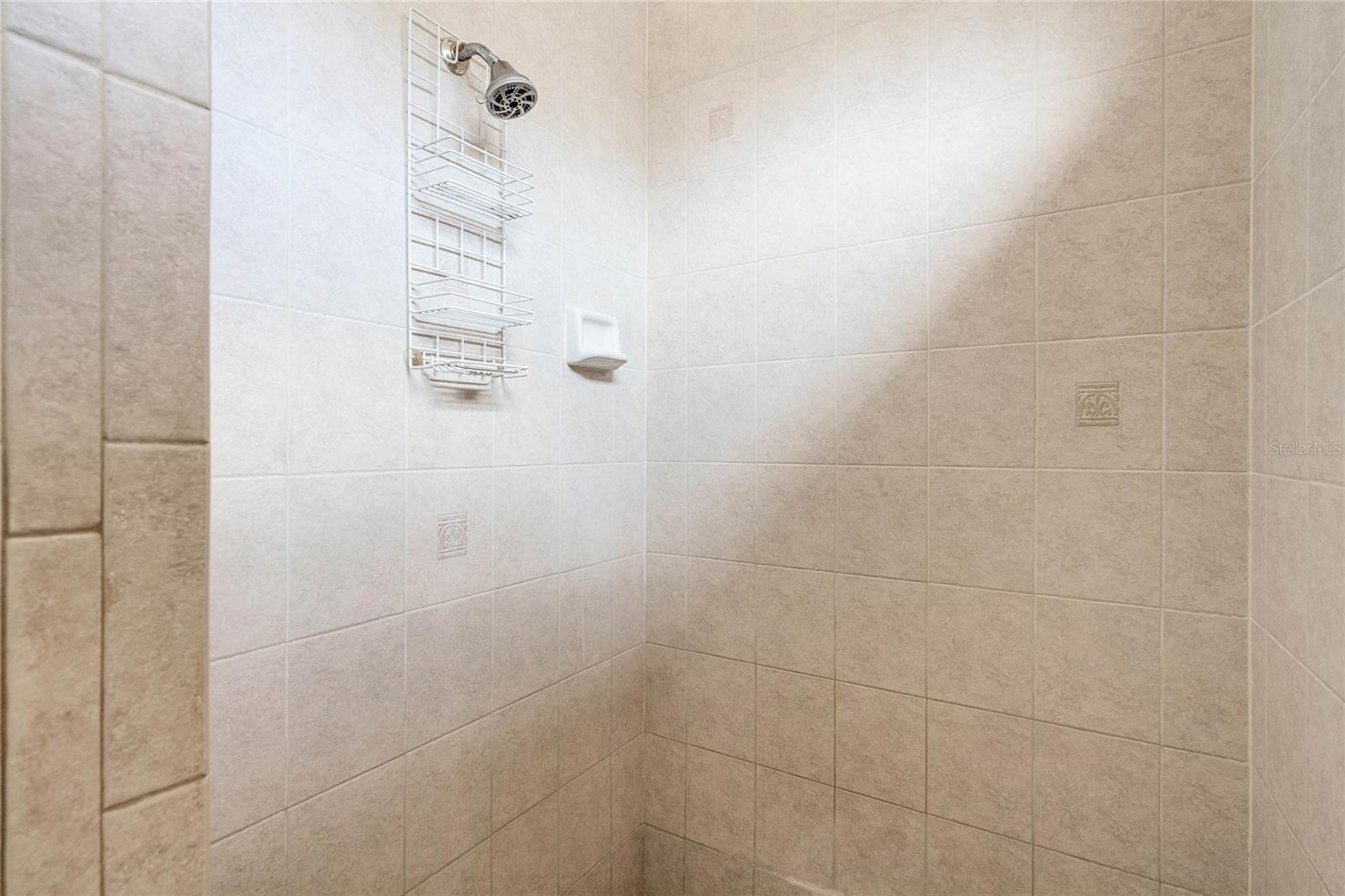 111 MILLHOLLAND ST, OAKLAND, FL, 34760