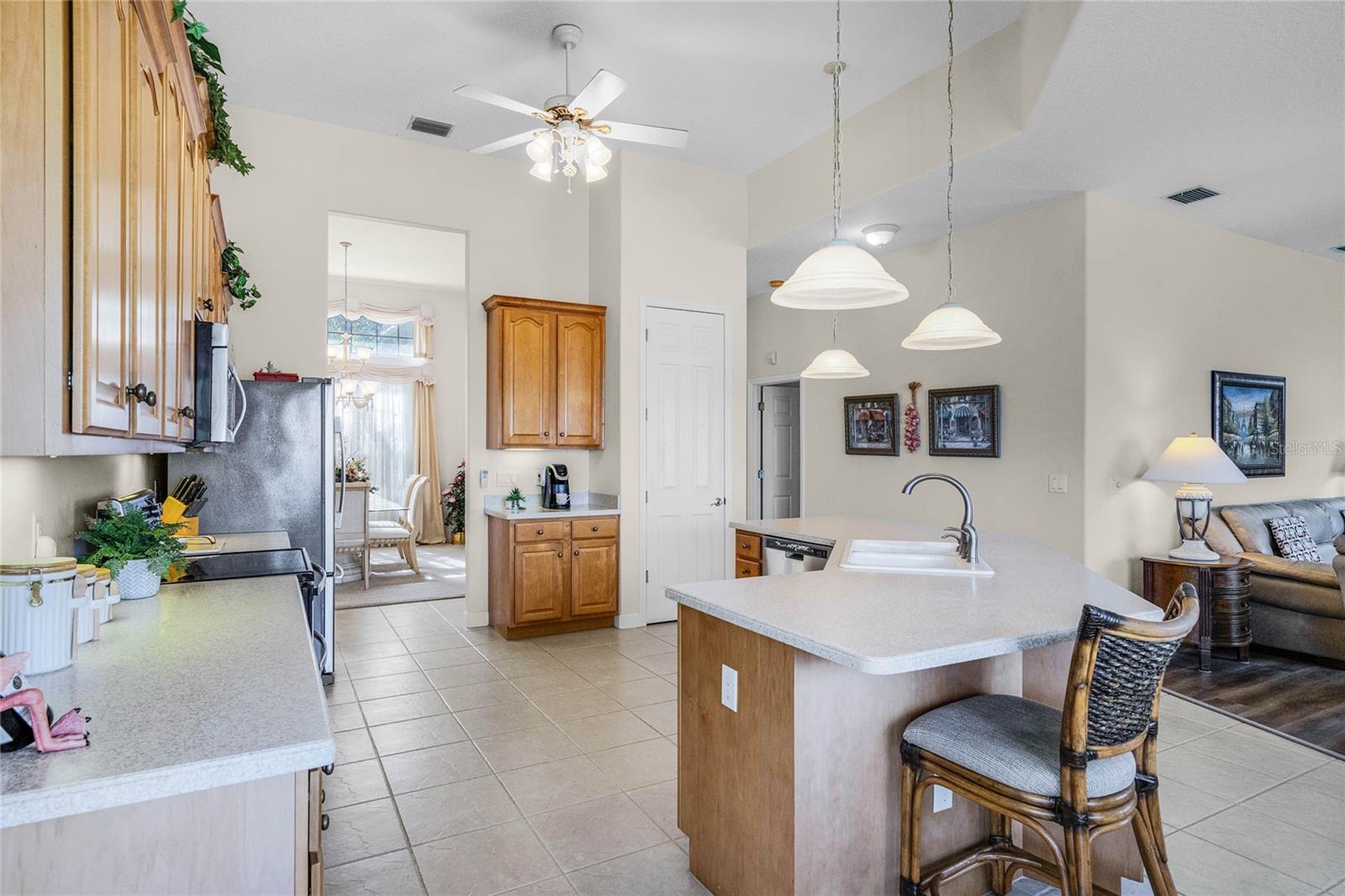 111 MILLHOLLAND ST, OAKLAND, FL, 34760