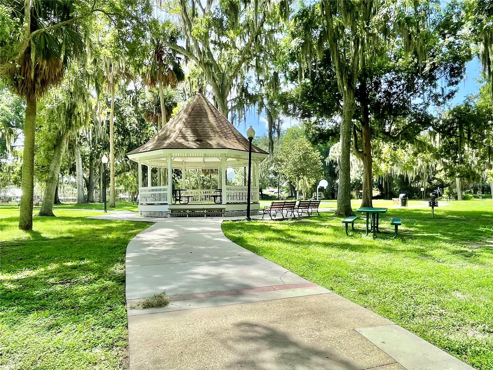 111 MILLHOLLAND ST, OAKLAND, FL, 34760