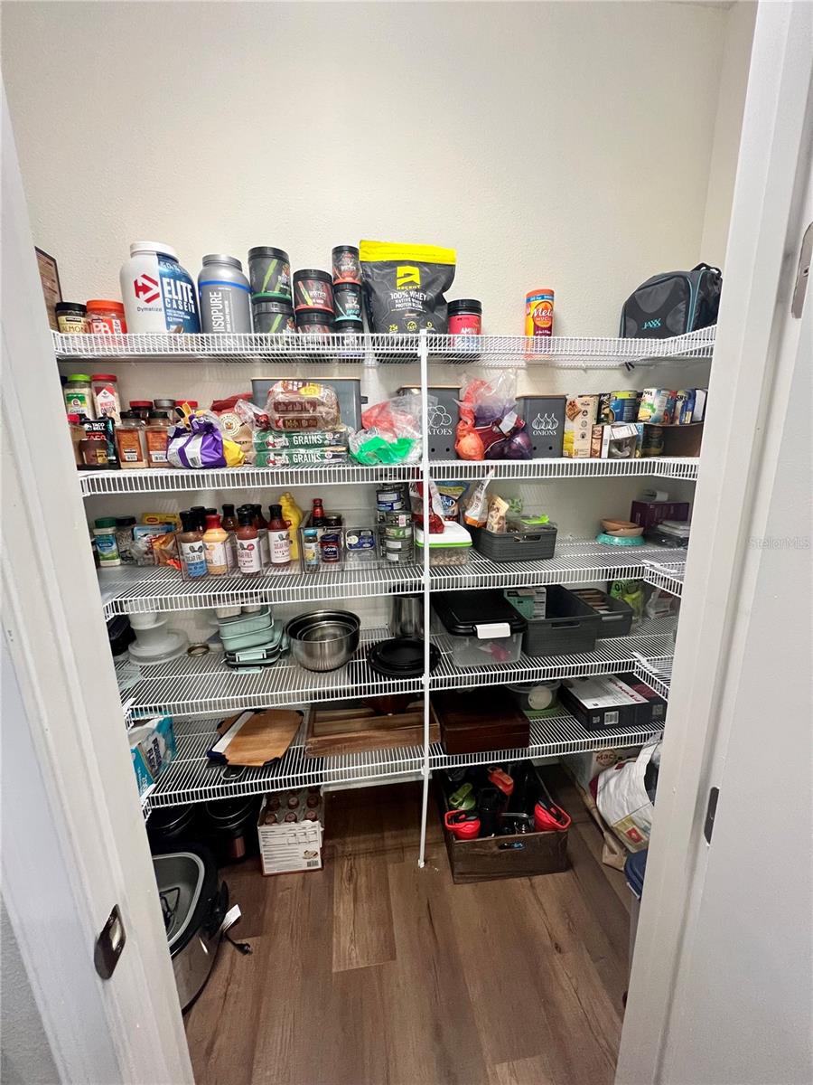 10640 PLANER PICKET DR, RIVERVIEW, FL, 33569