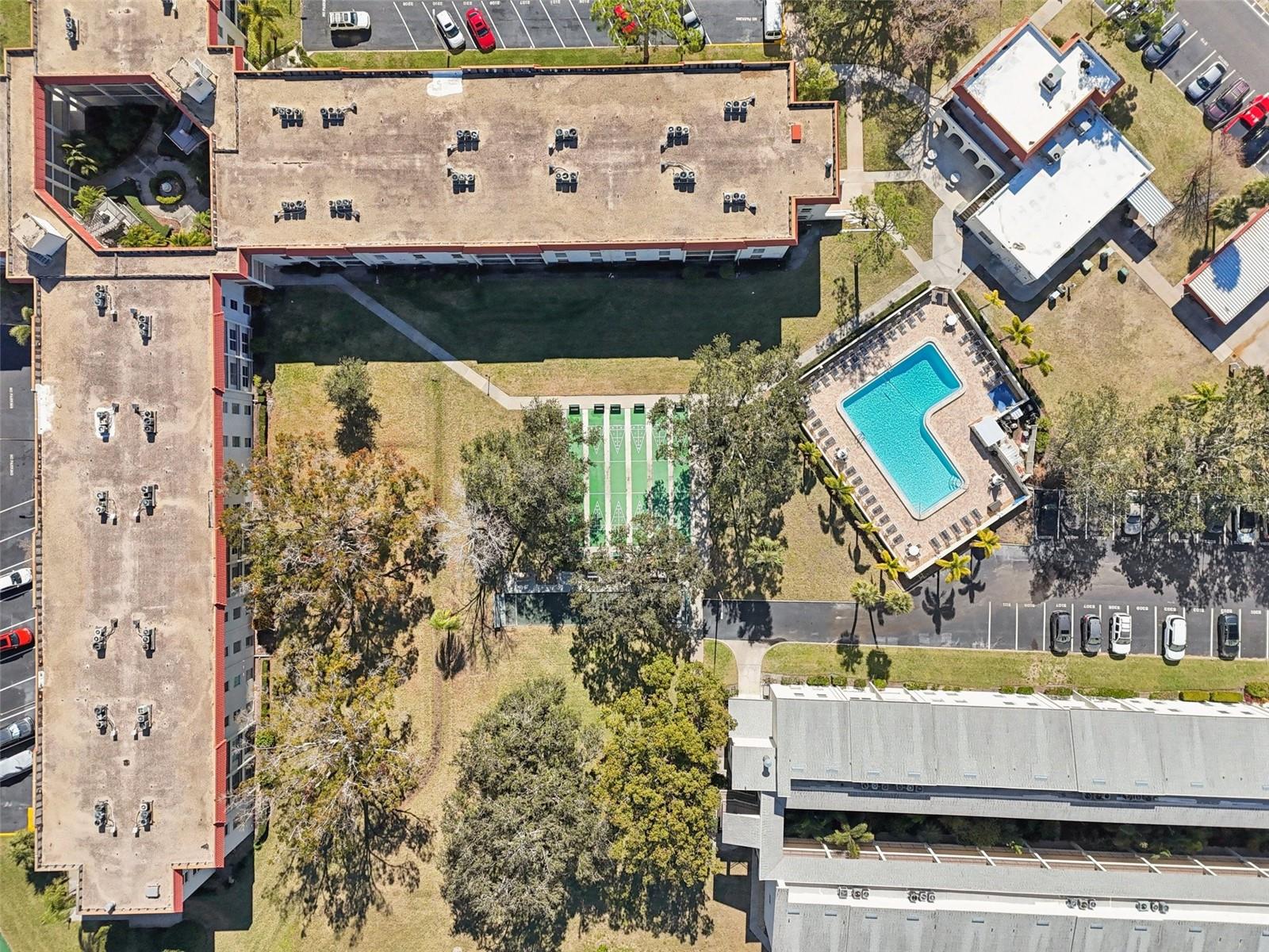 2700 BAYSHORE BLVD #1305, DUNEDIN, FL, 34698