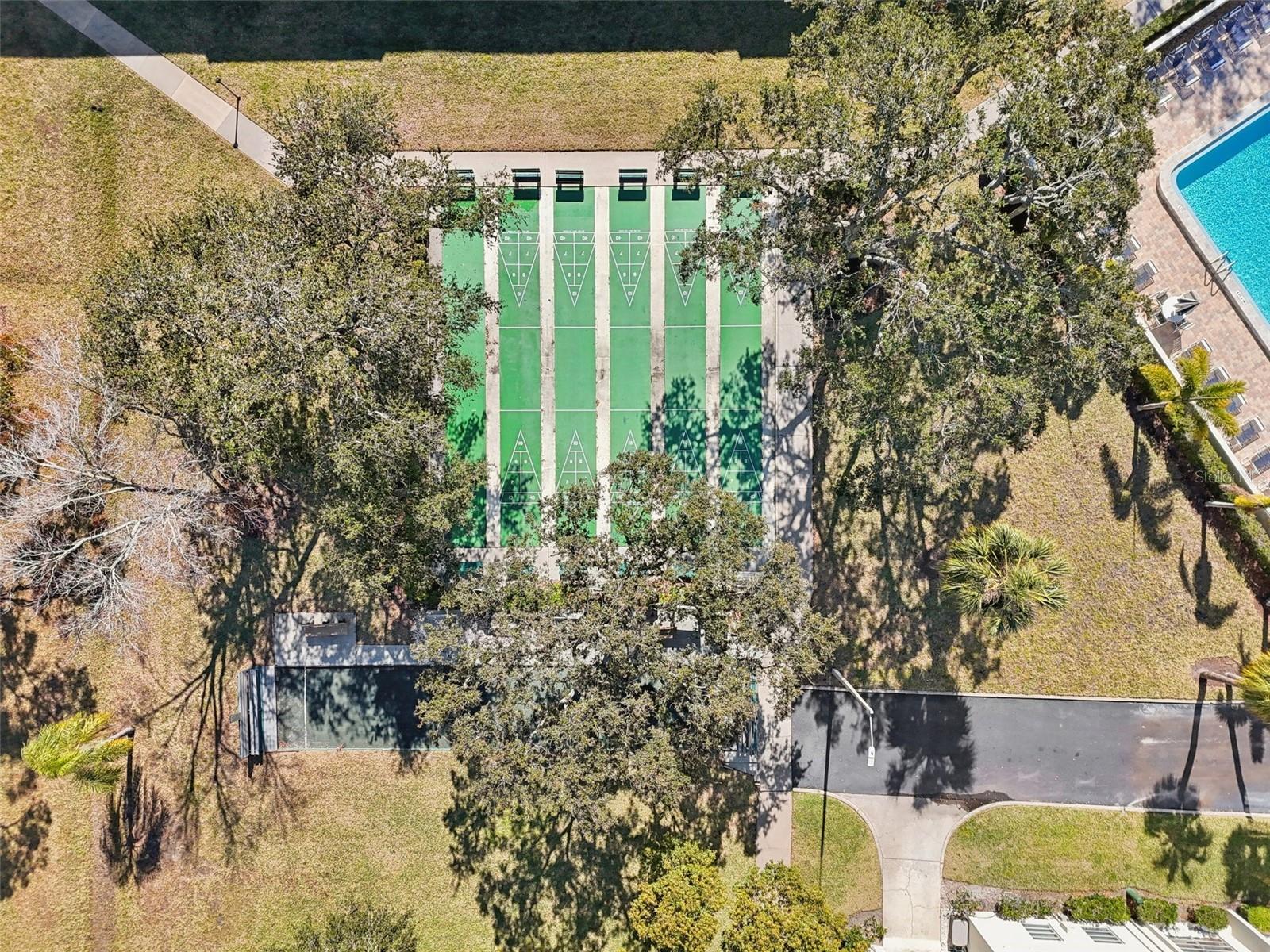 2700 BAYSHORE BLVD #1305, DUNEDIN, FL, 34698