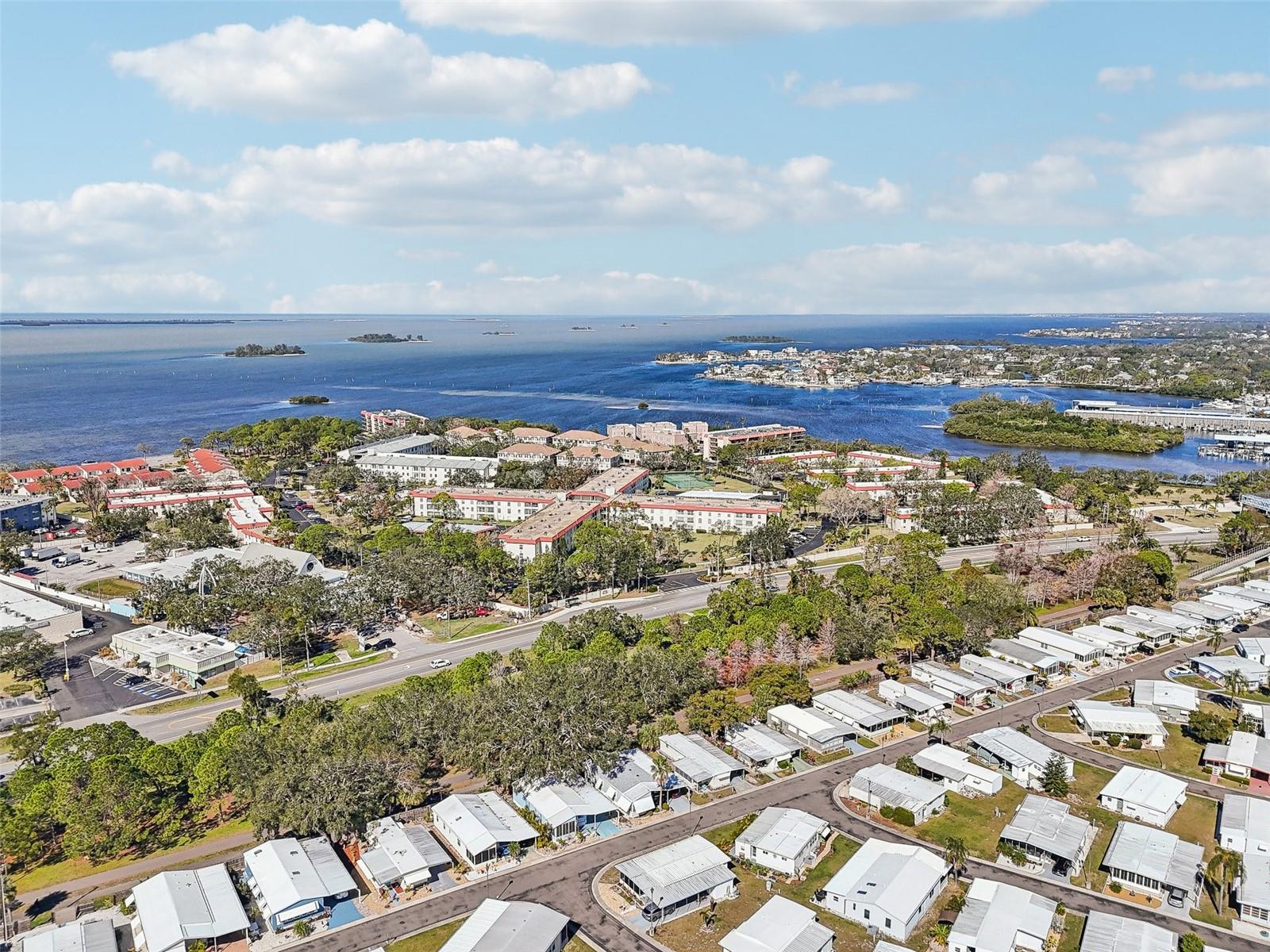 2700 BAYSHORE BLVD #1305, DUNEDIN, FL, 34698