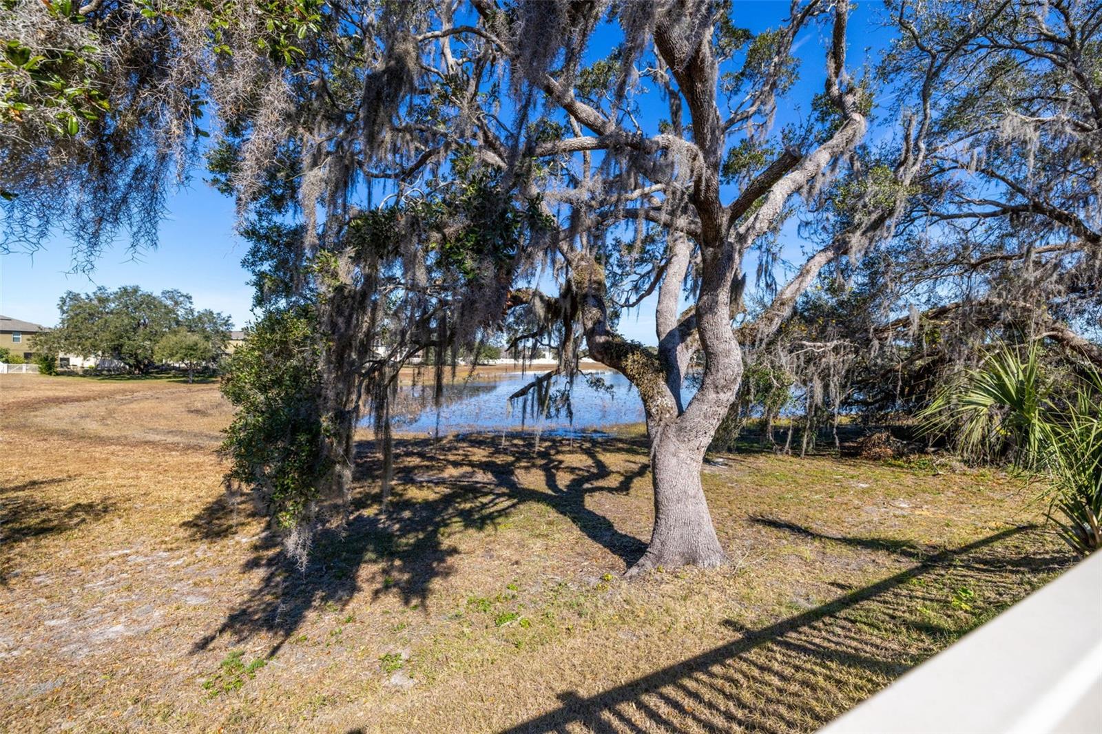 13987 WEDDINGTON TER, HUDSON, FL, 34669