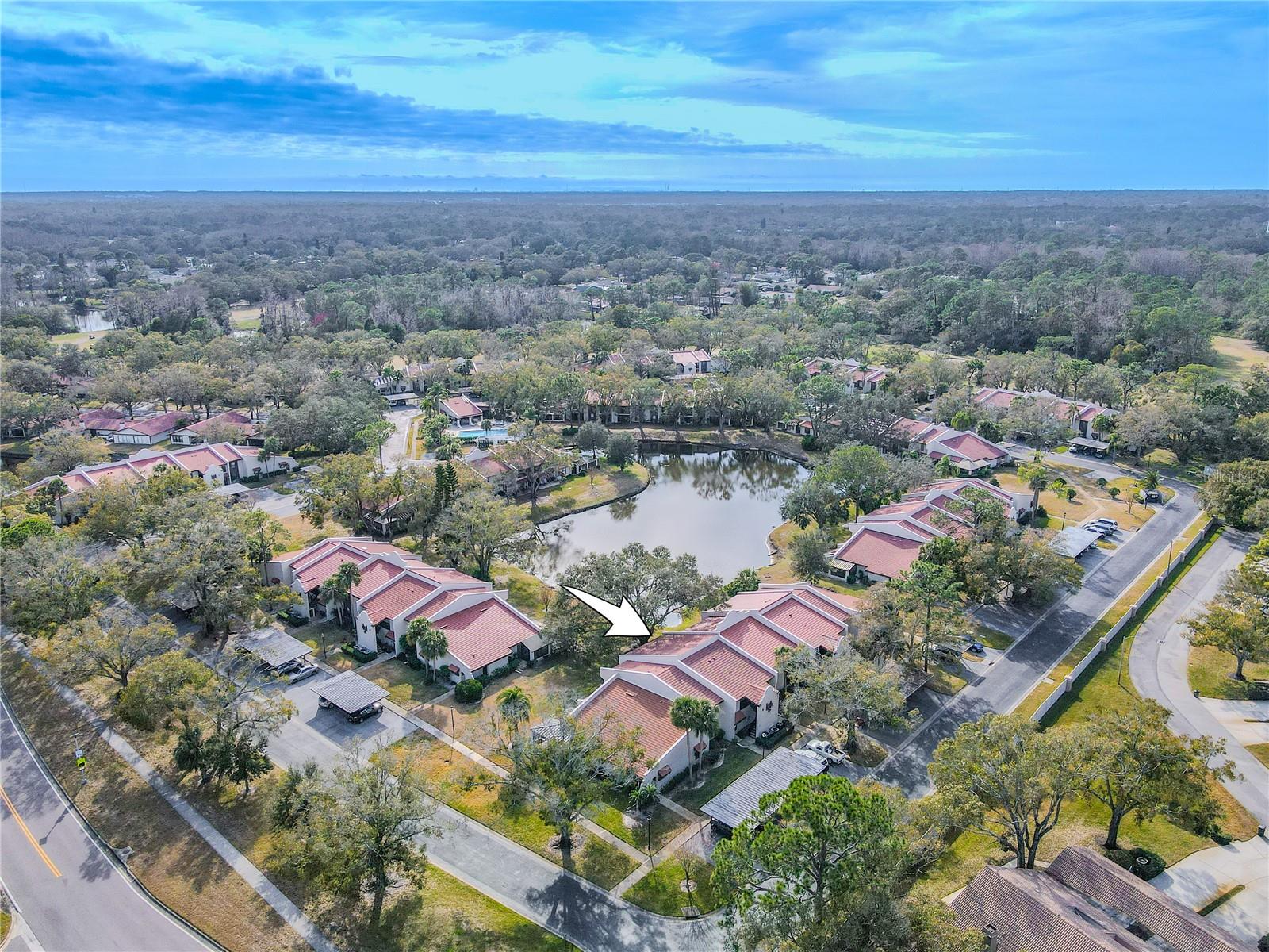 3505 TARPON WOODS BLVD #N404, PALM HARBOR, FL, 34685