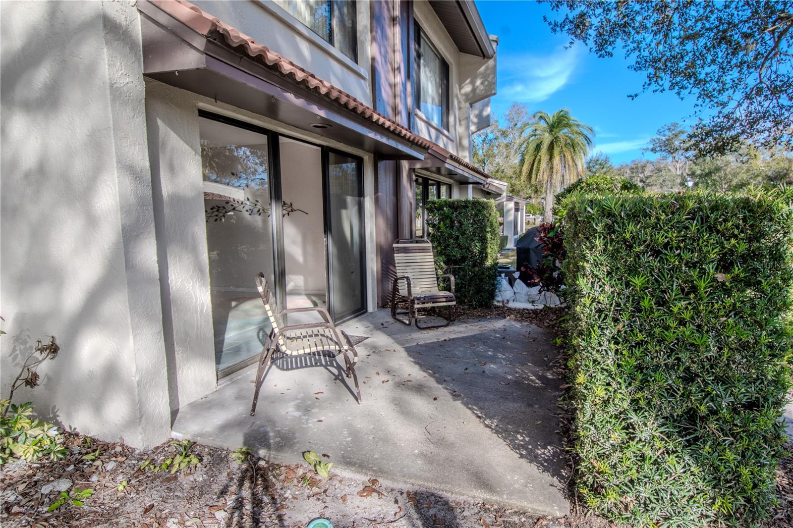 3505 TARPON WOODS BLVD #N404, PALM HARBOR, FL, 34685
