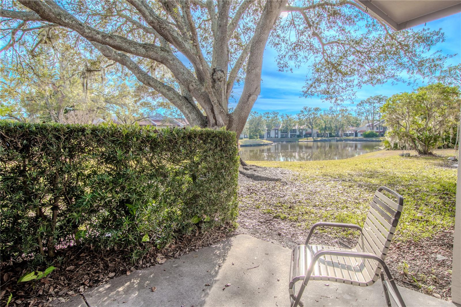 3505 TARPON WOODS BLVD #N404, PALM HARBOR, FL, 34685