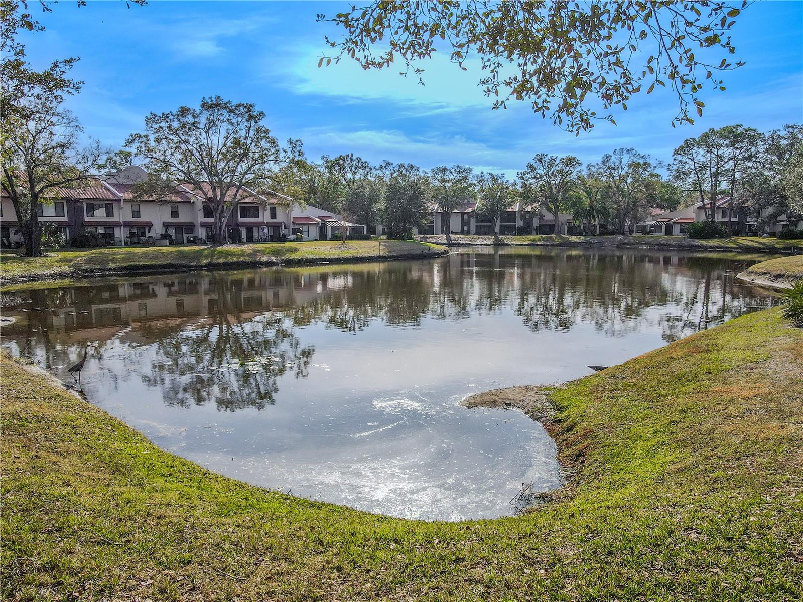 3505 TARPON WOODS BLVD #N404, PALM HARBOR, FL, 34685