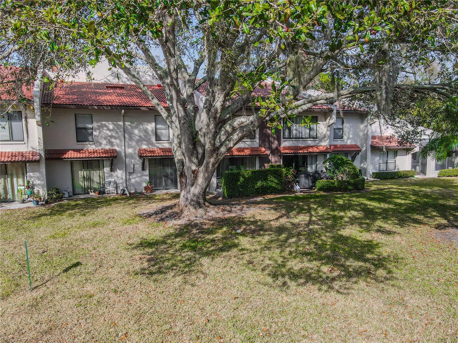3505 TARPON WOODS BLVD #N404, PALM HARBOR, FL, 34685