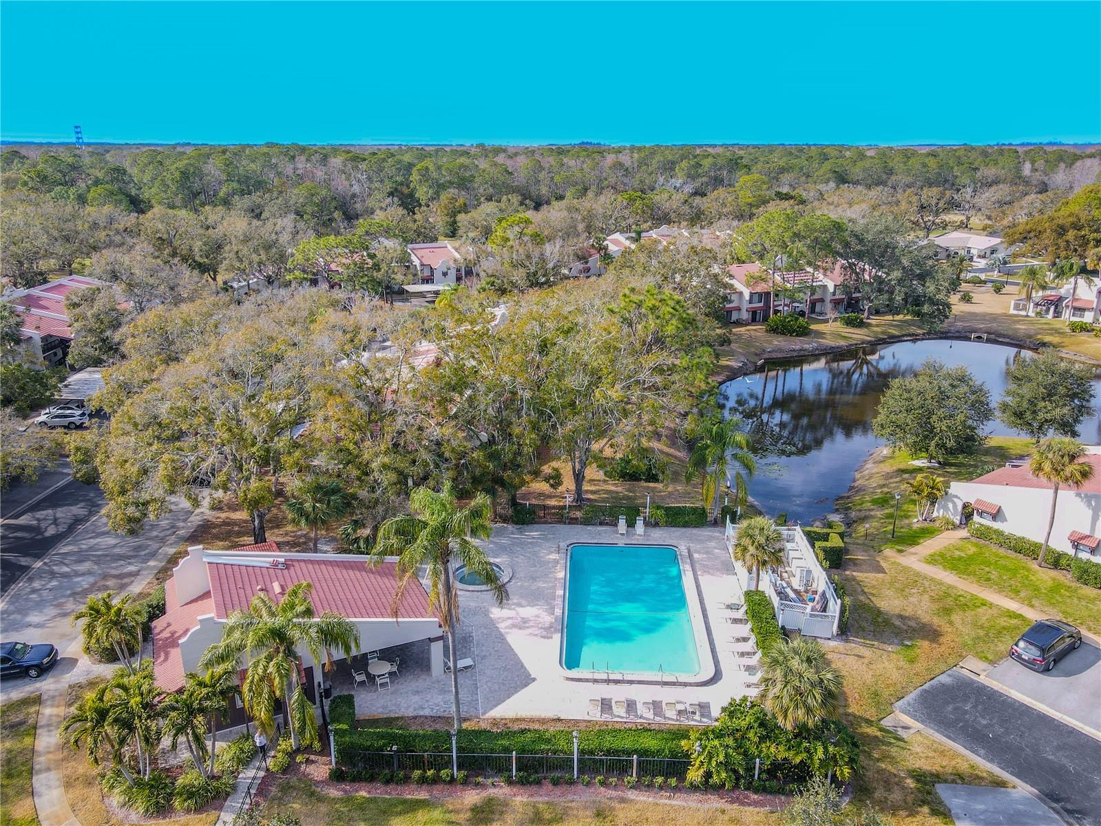3505 TARPON WOODS BLVD #N404, PALM HARBOR, FL, 34685