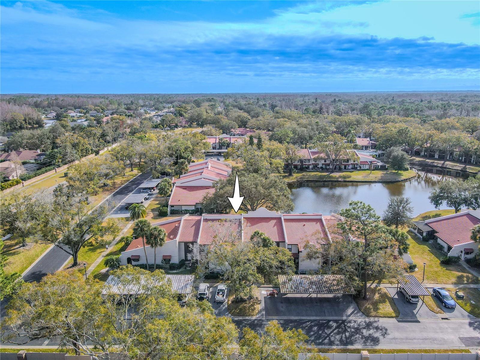 3505 TARPON WOODS BLVD #N404, PALM HARBOR, FL, 34685