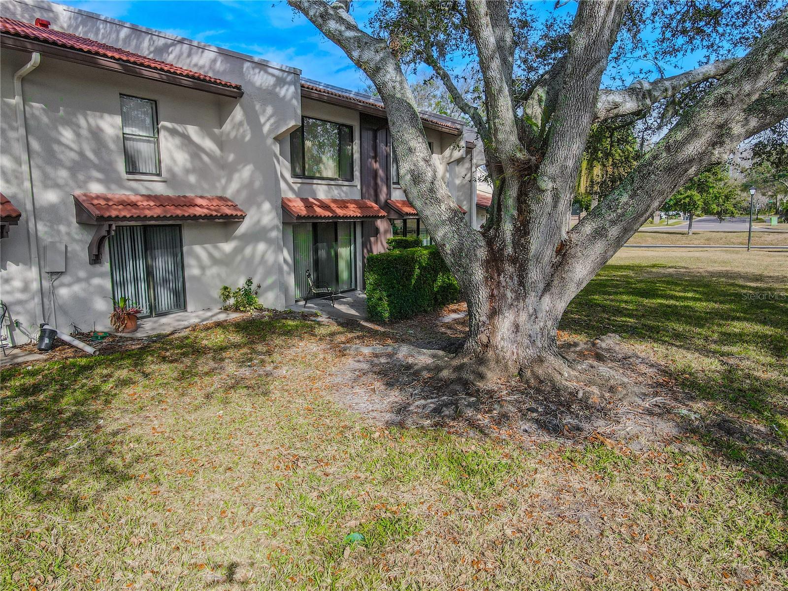 3505 TARPON WOODS BLVD #N404, PALM HARBOR, FL, 34685