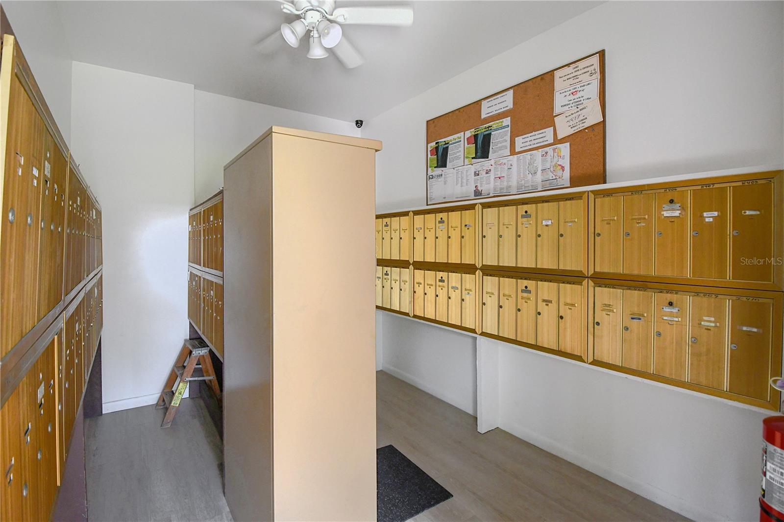 3505 TARPON WOODS BLVD #N404, PALM HARBOR, FL, 34685
