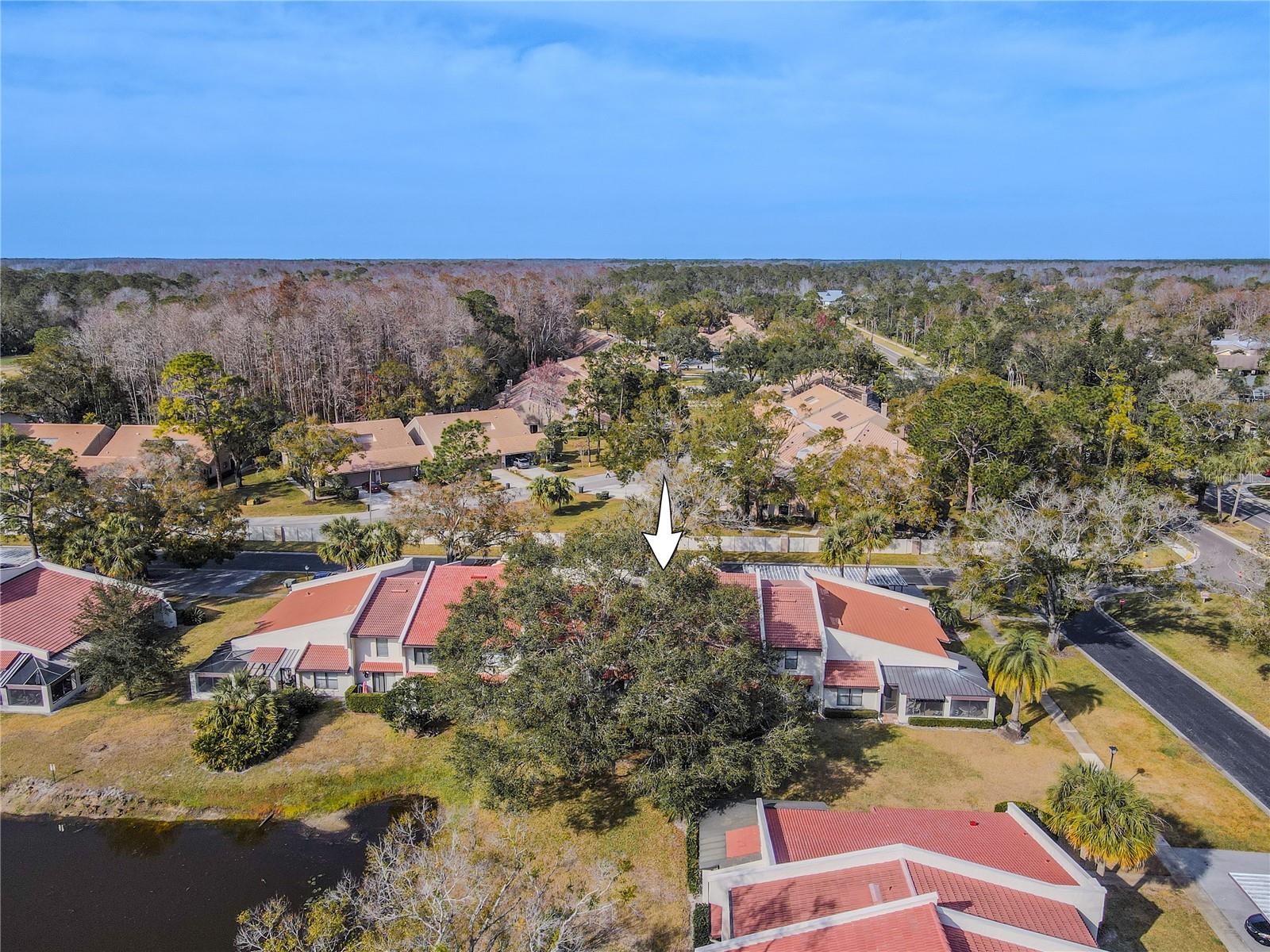 3505 TARPON WOODS BLVD #N404, PALM HARBOR, FL, 34685