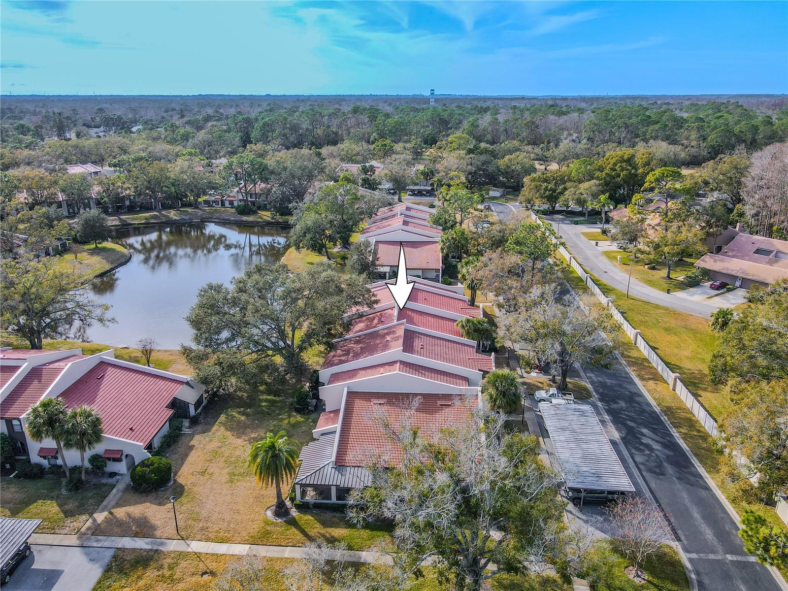 3505 TARPON WOODS BLVD #N404, PALM HARBOR, FL, 34685