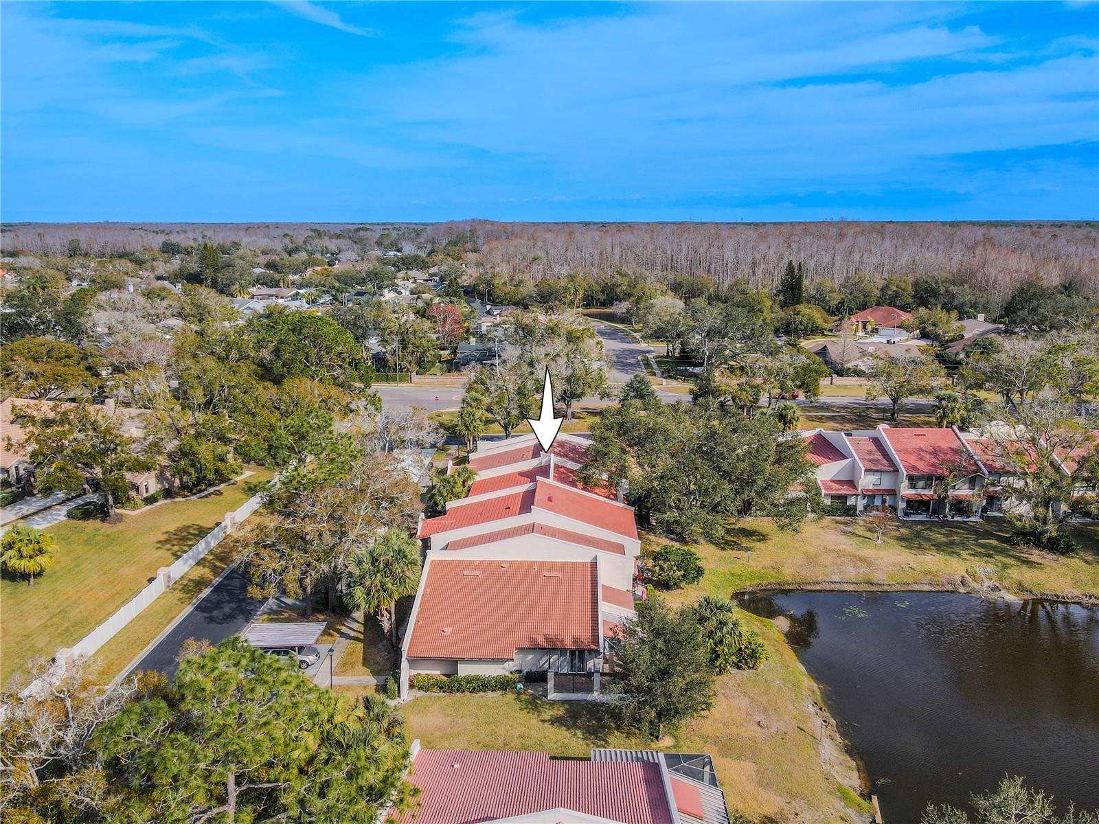 3505 TARPON WOODS BLVD #N404, PALM HARBOR, FL, 34685