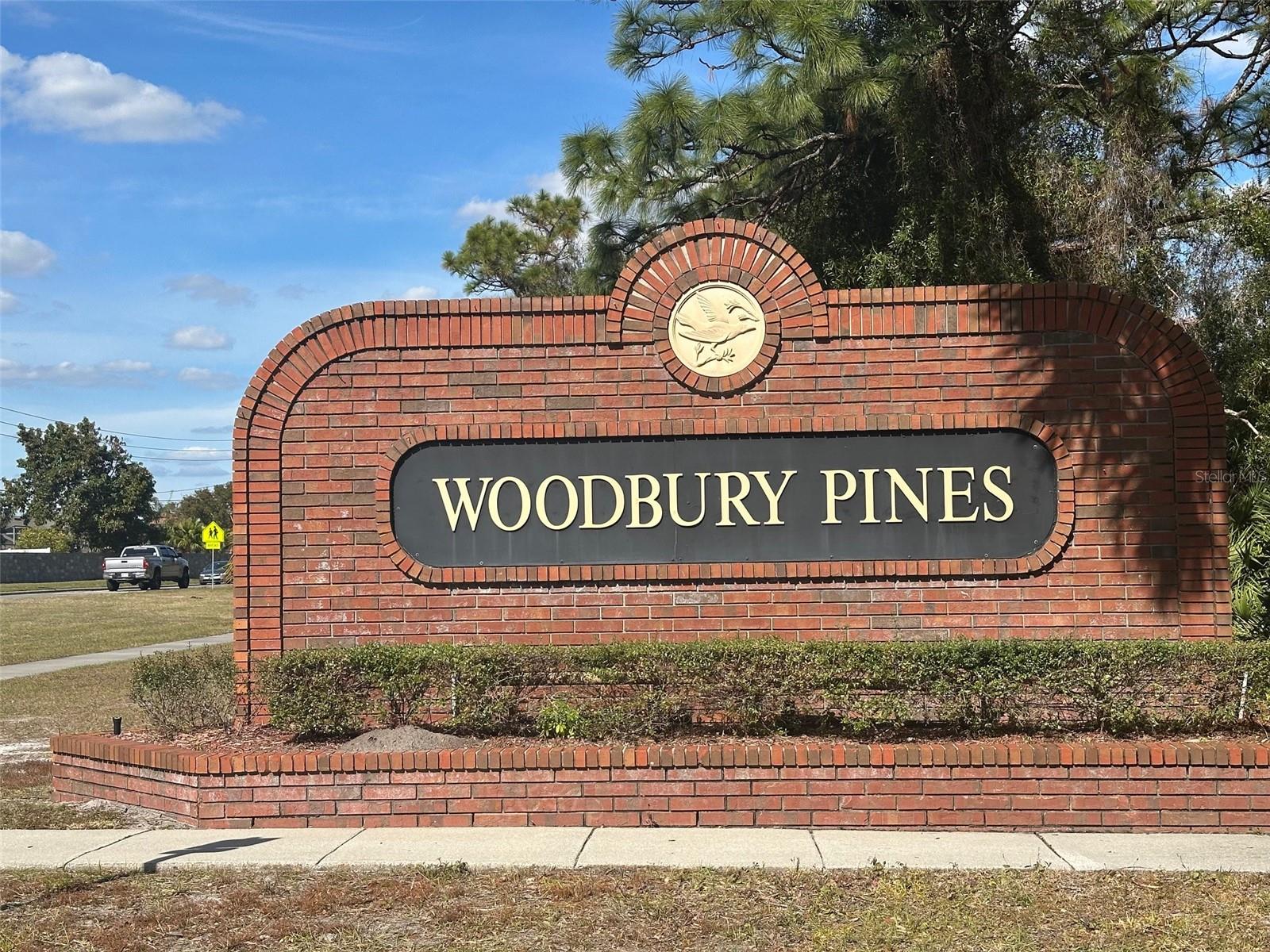 334 WOODBURY PINES CIR, ORLANDO, FL, 32828