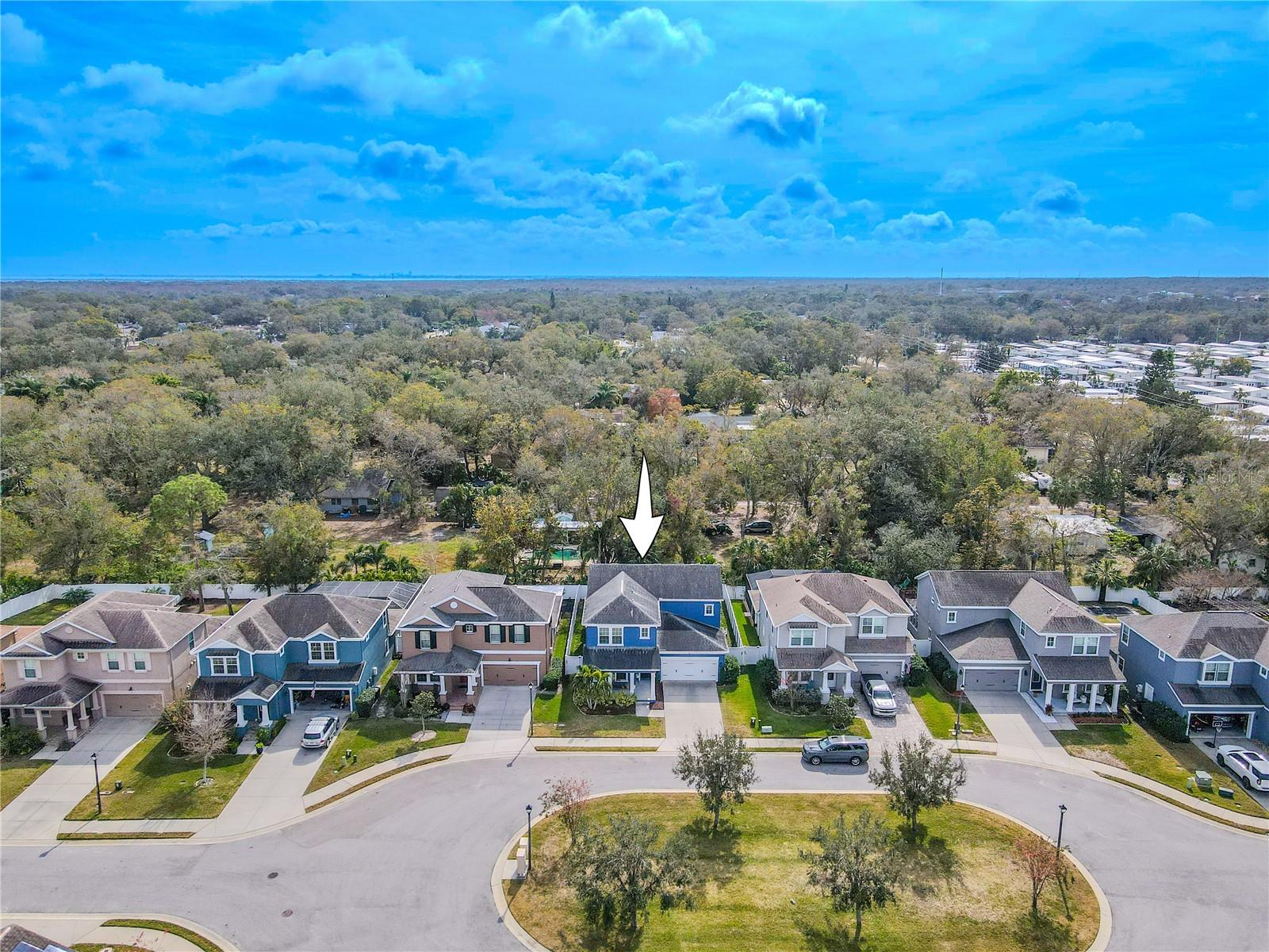111 PHILIPPE GRAND CT, SAFETY HARBOR, FL, 34695