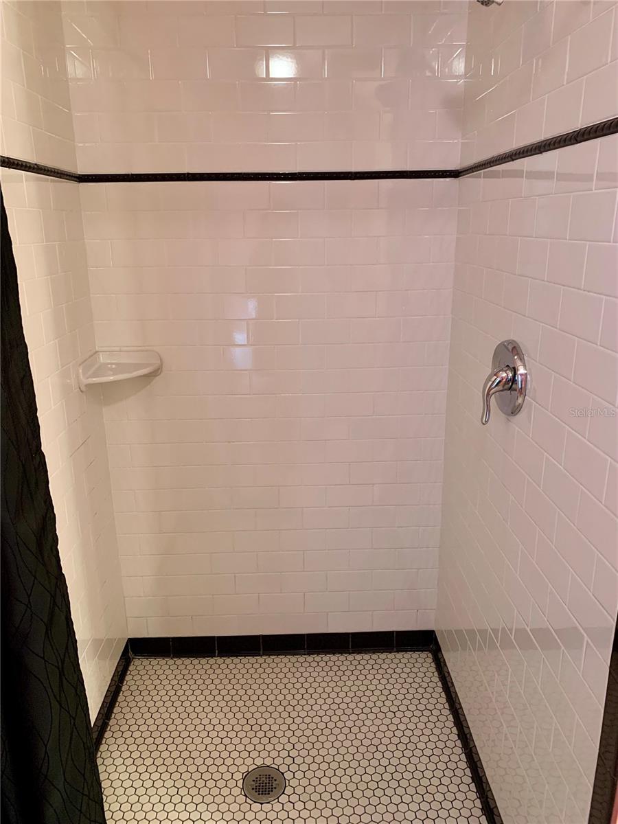 3502 W PALMIRA AVE, TAMPA, FL, 33629