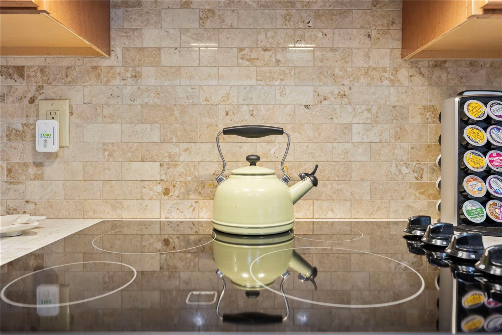 1066 LARKIN RD, SPRING HILL, FL, 34608