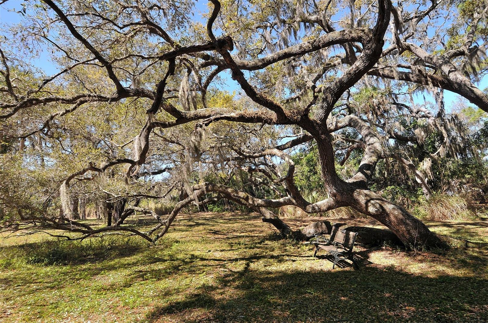 2723 ORCHID OAKS DR #104C, SARASOTA, FL, 34239