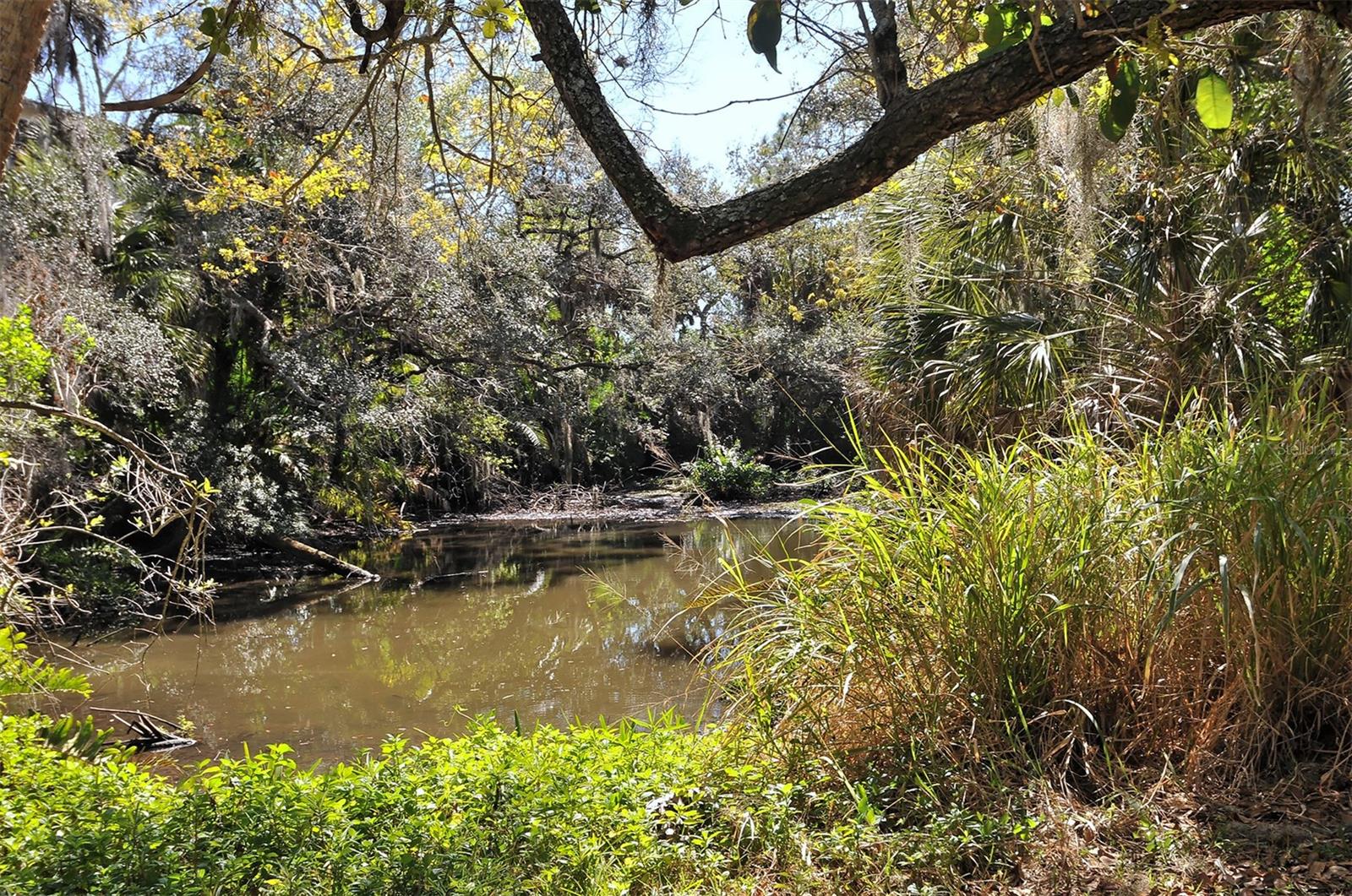 2723 ORCHID OAKS DR #104C, SARASOTA, FL, 34239