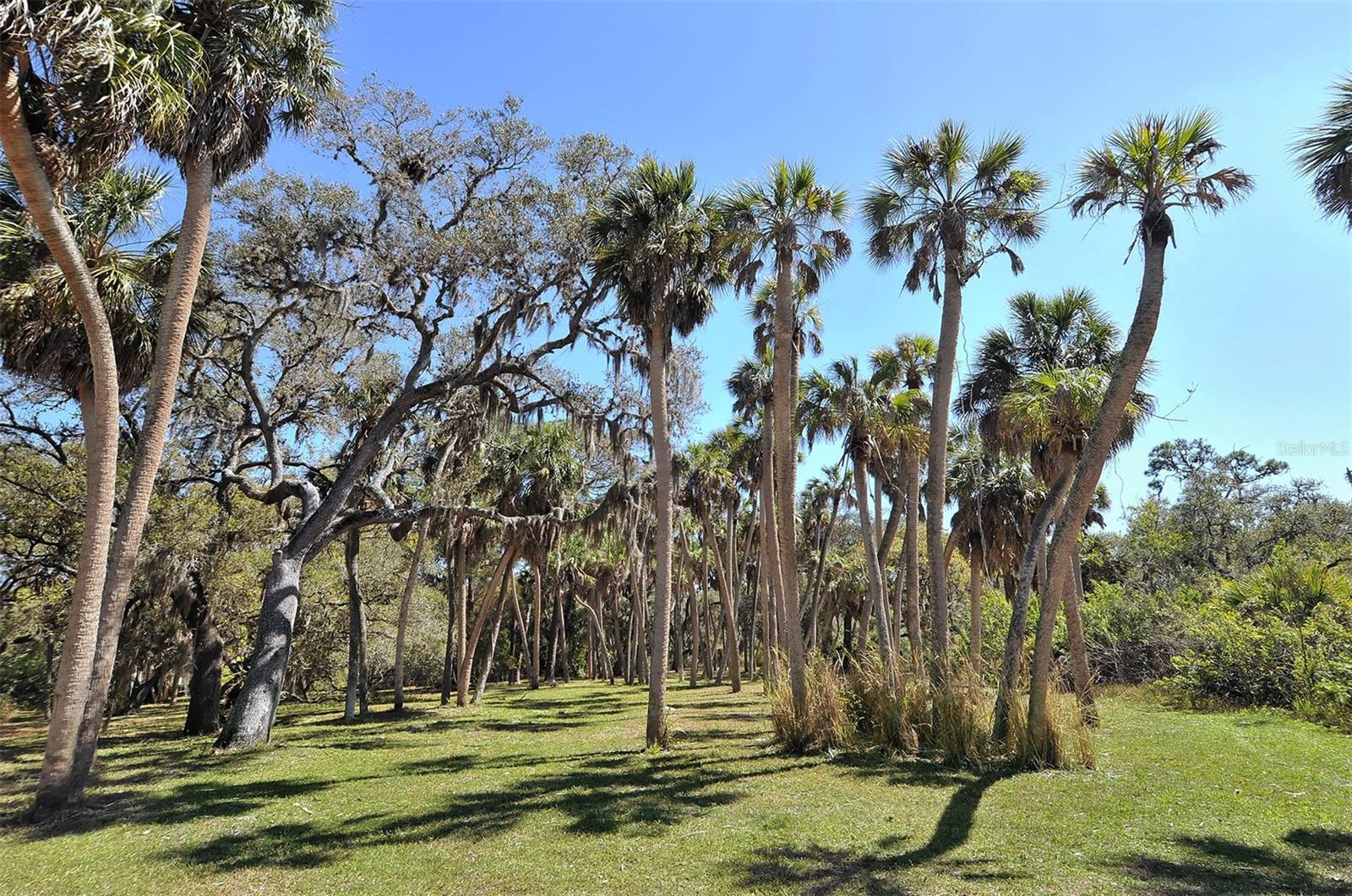 2723 ORCHID OAKS DR #104C, SARASOTA, FL, 34239