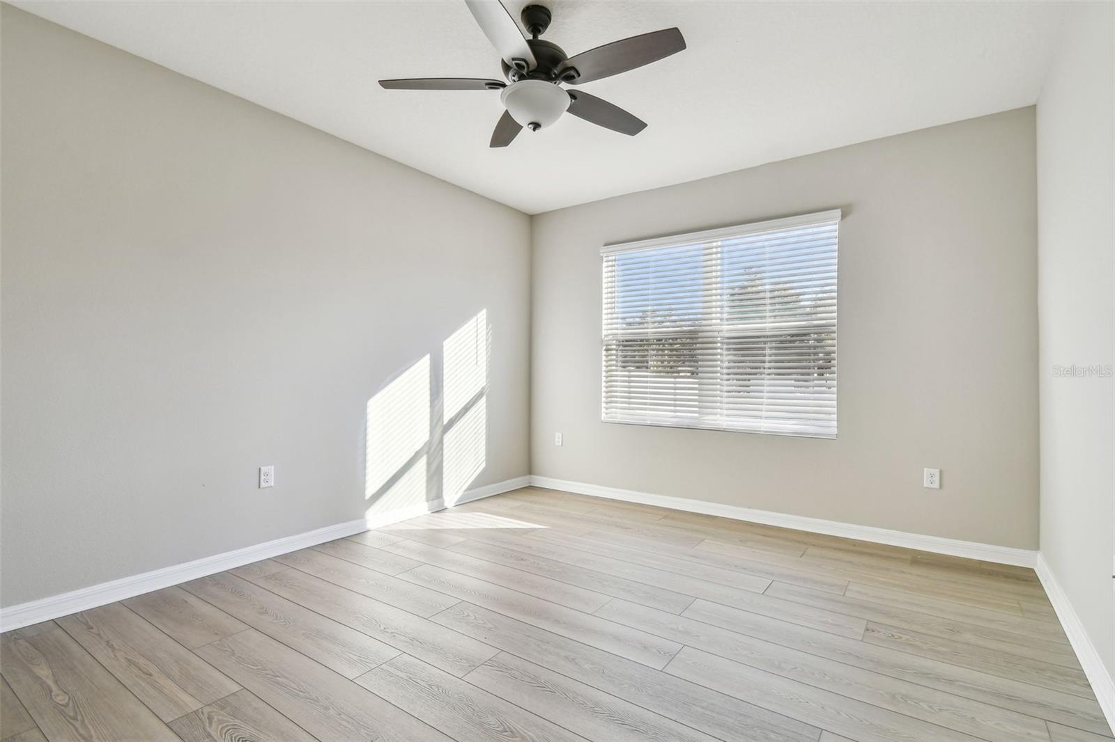 9905 WARM STONE ST, THONOTOSASSA, FL, 33592