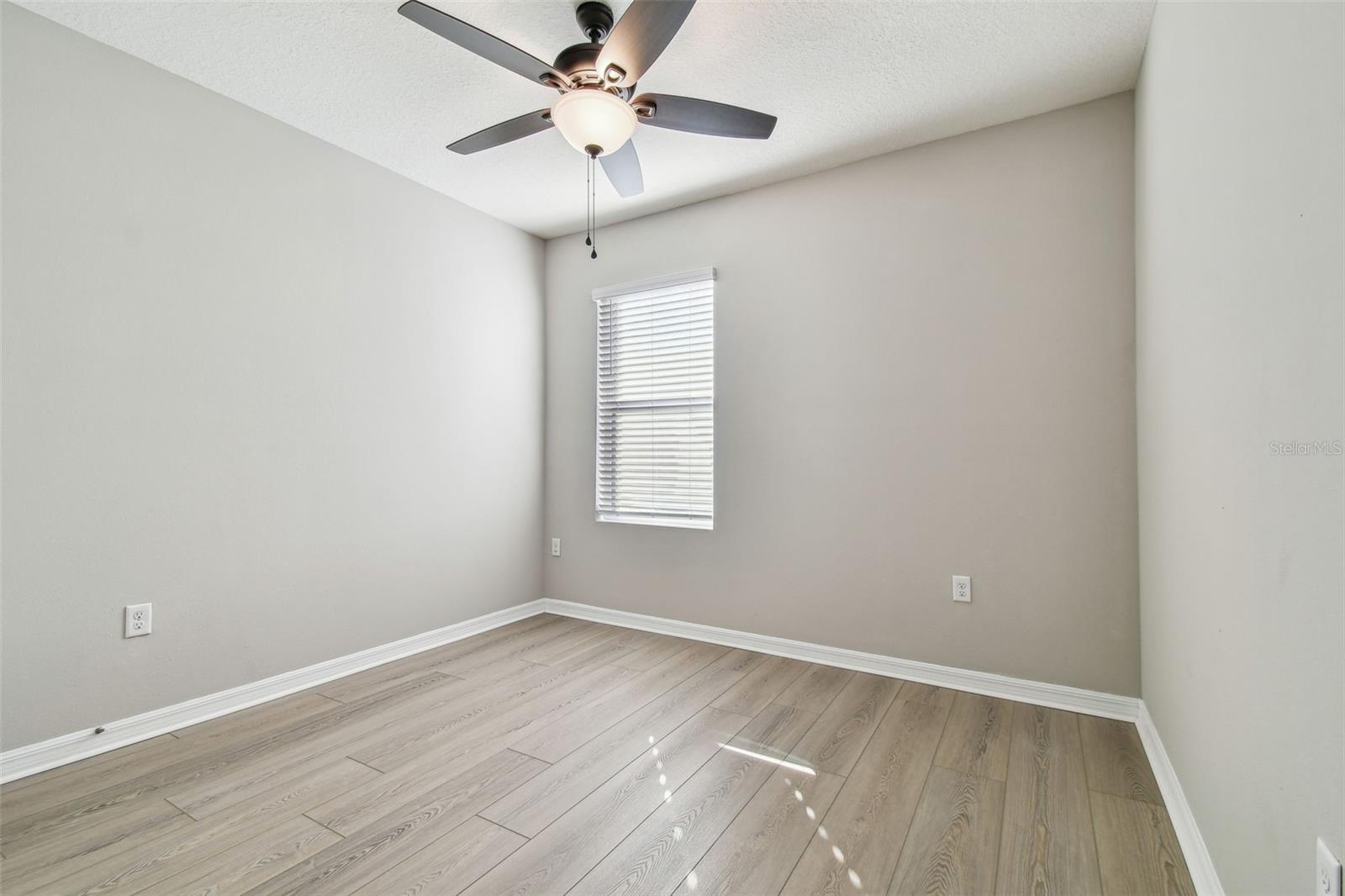 9905 WARM STONE ST, THONOTOSASSA, FL, 33592