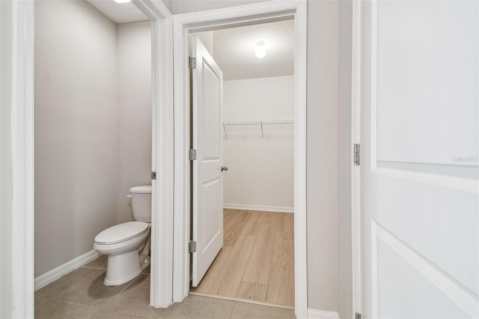 9905 WARM STONE ST, THONOTOSASSA, FL, 33592