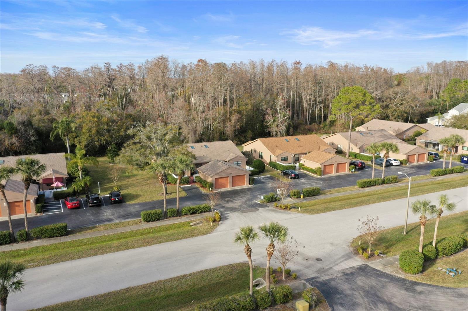 3185 CHARTER CLUB DR #A, TARPON SPRINGS, FL, 34688