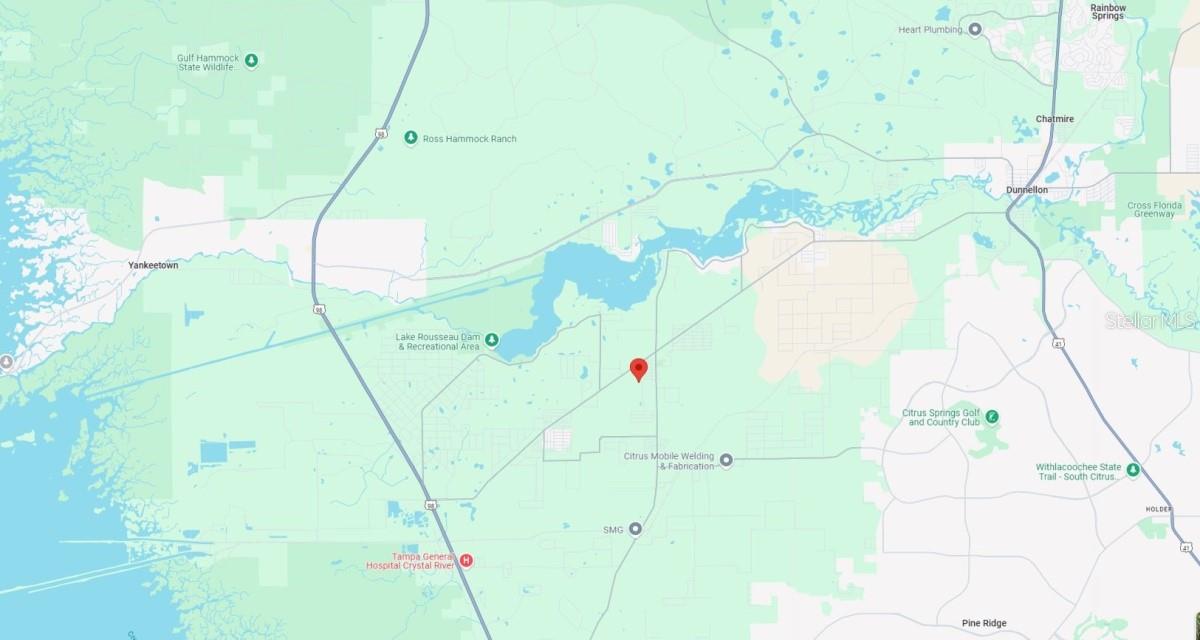 8315 W RAINBOW OAKS CT, CRYSTAL RIVER, FL, 34428