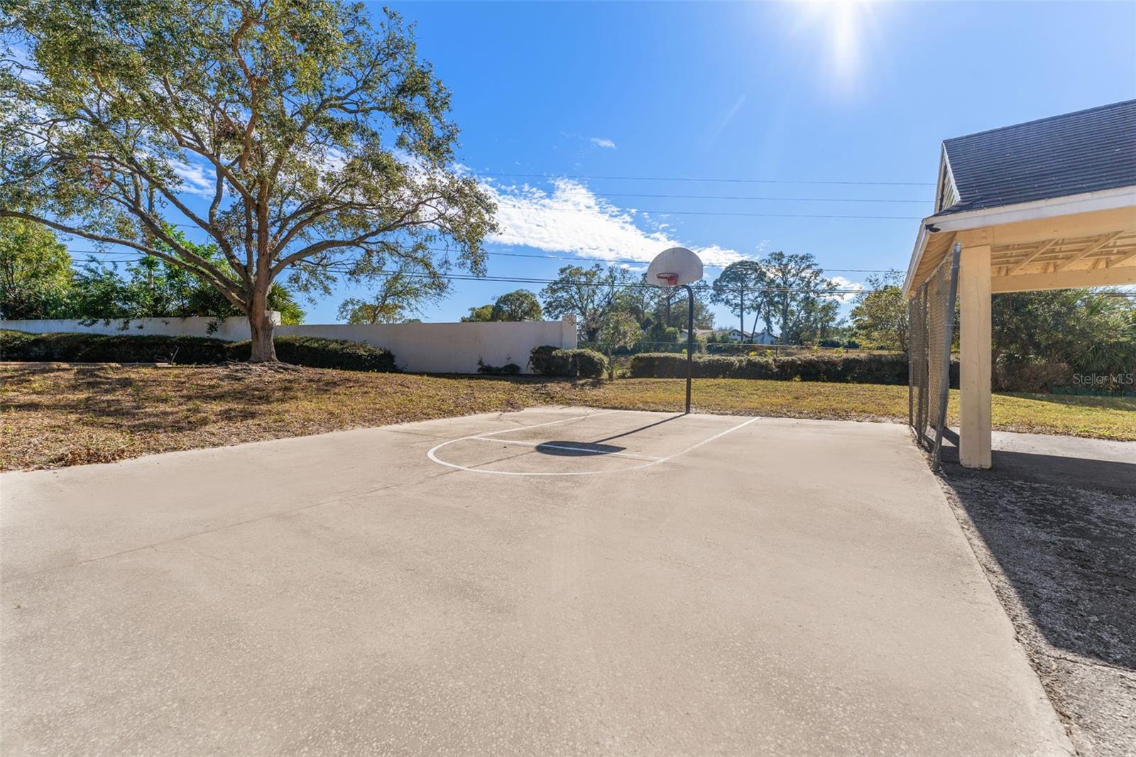 3300 HAVILAND CT #303, PALM HARBOR, FL, 34684