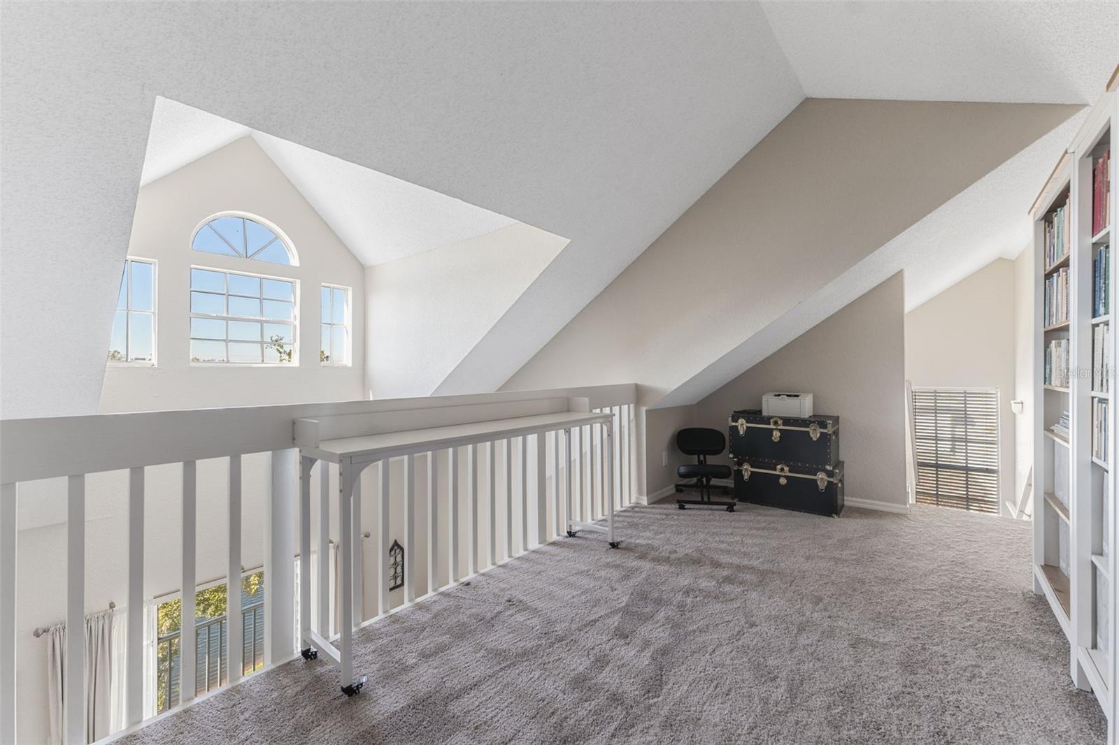 3300 HAVILAND CT #303, PALM HARBOR, FL, 34684