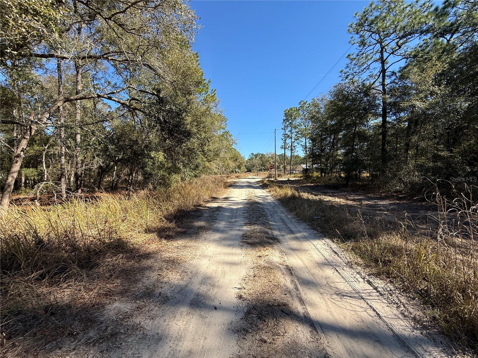 TBD SW 41ST ST RD, OCALA, FL, 34481