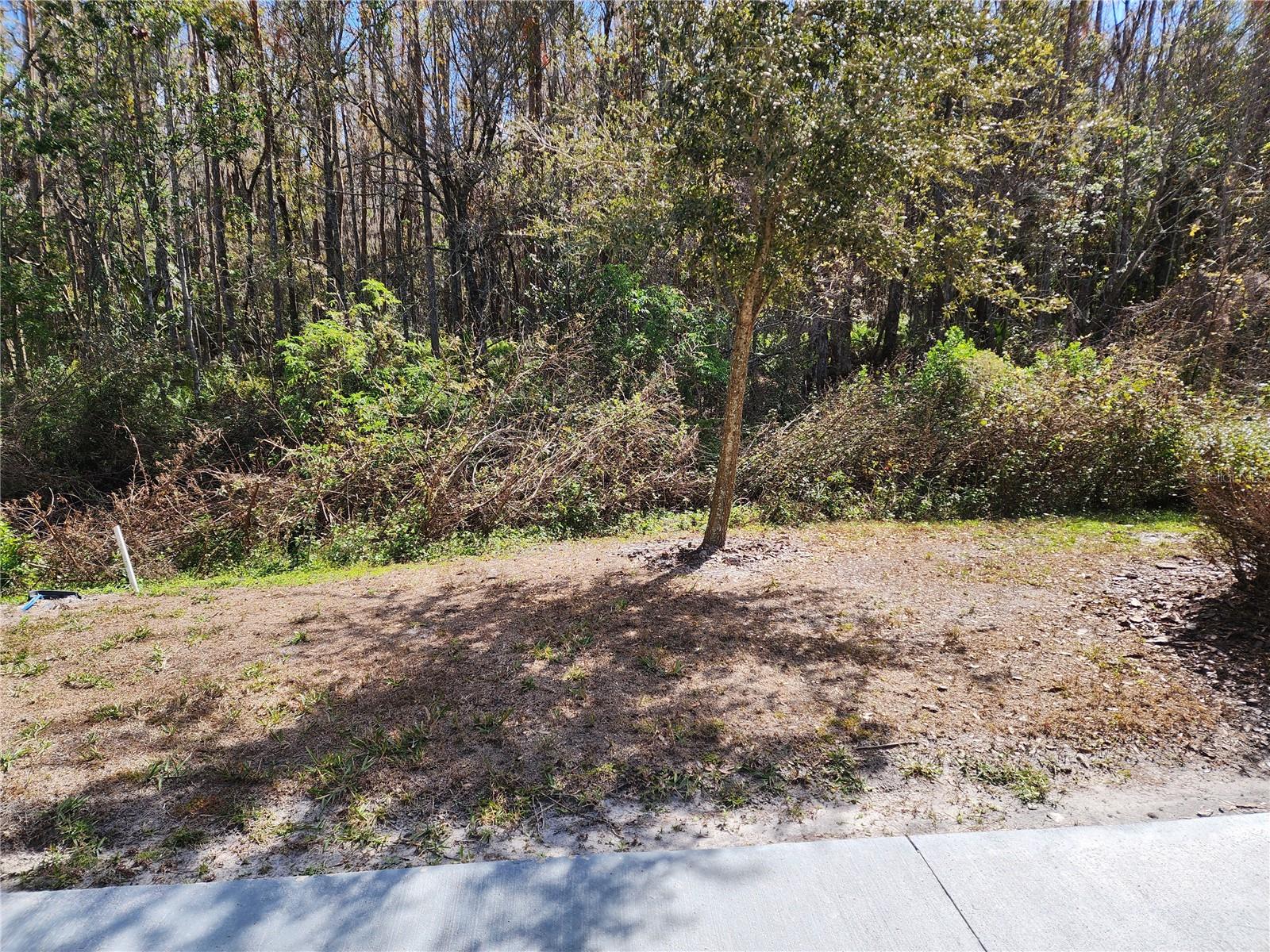 1910 HOVENWEEP RD, WESLEY CHAPEL, FL, 33543