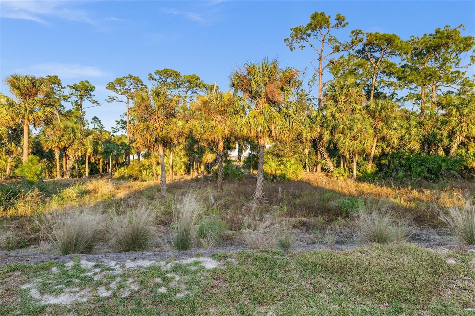 17638 PALMETTO PASS LN, PUNTA GORDA, FL, 33982