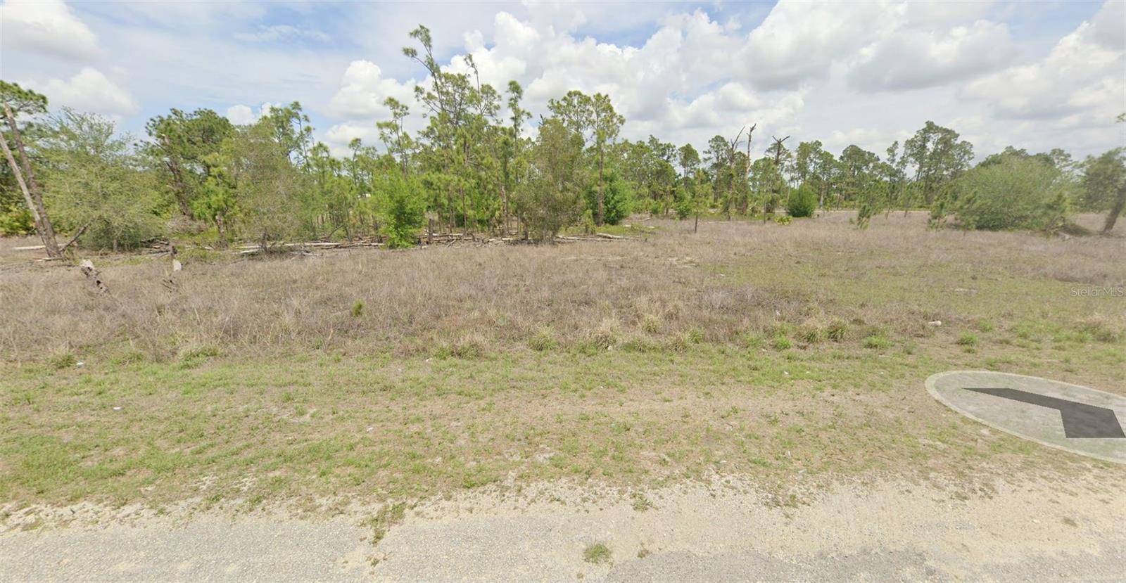 1207 GARIBALDI ST E, LEHIGH ACRES, FL, 33974