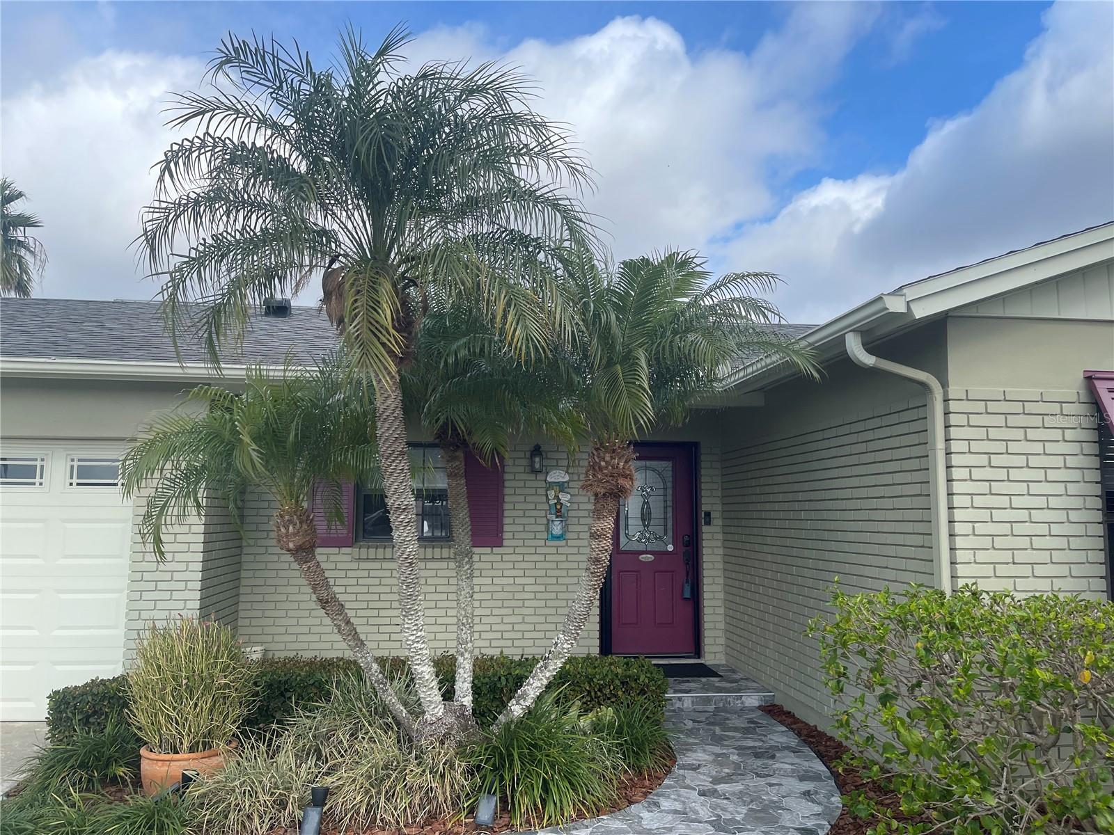 8719 ELMWOOD LN, TAMPA, FL, 33615