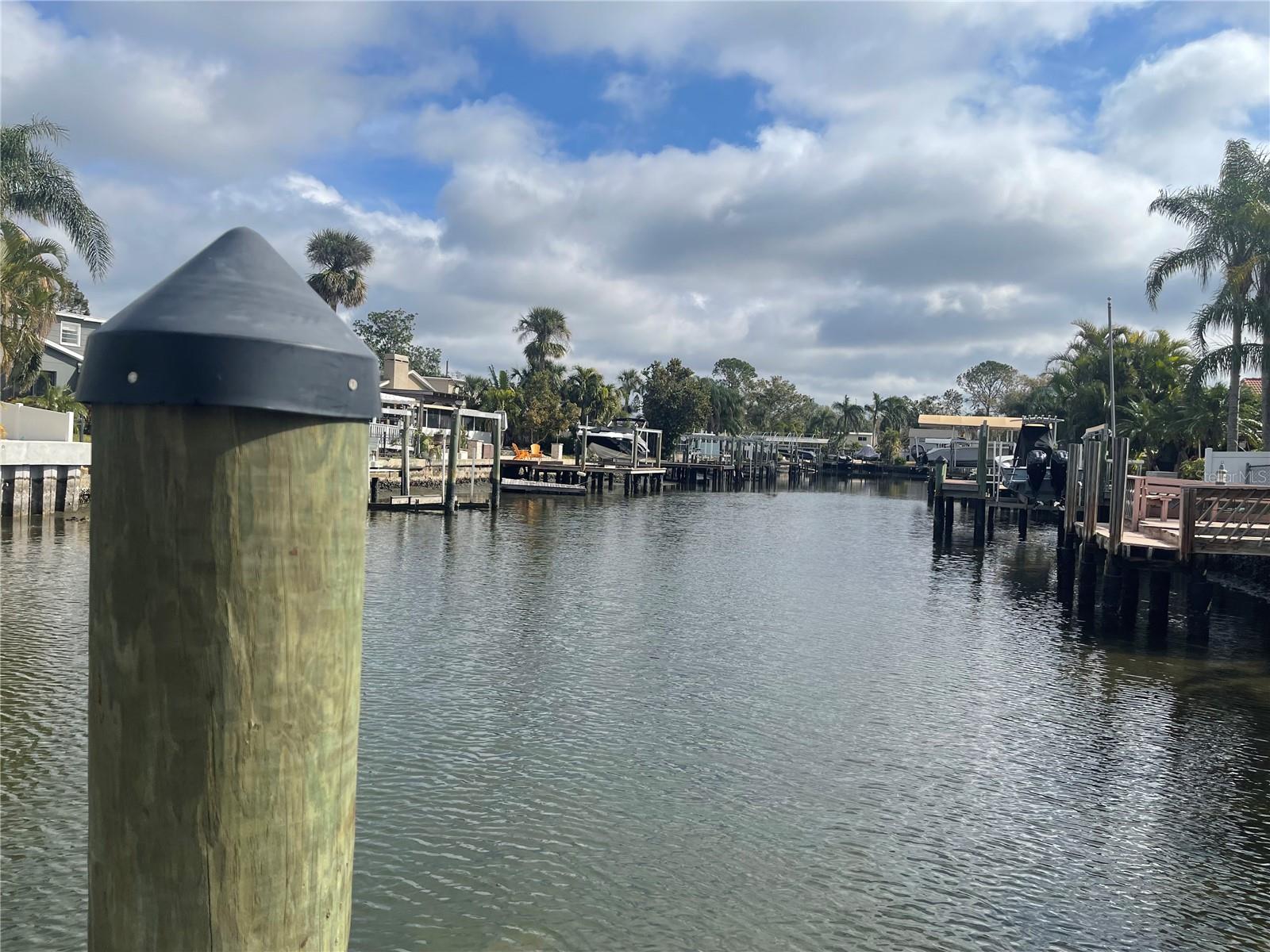 8719 ELMWOOD LN, TAMPA, FL, 33615