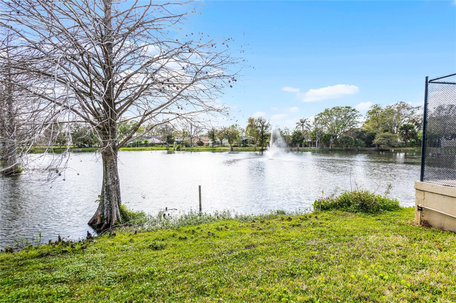 120 WINDTREE LN #120, WINTER GARDEN, FL, 34787