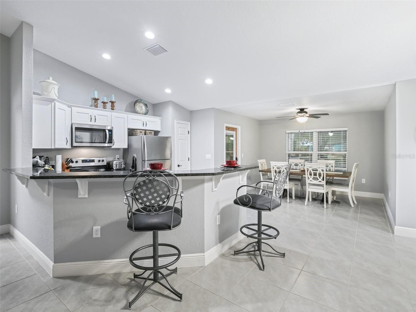 205 BREVARD AVE, LADY LAKE, FL, 32159