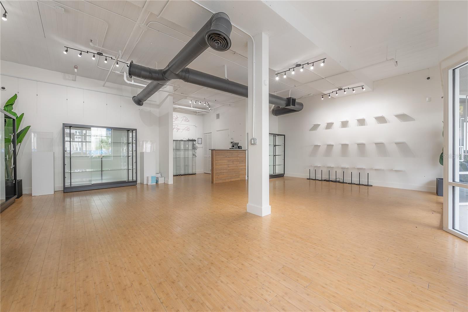 1010 CENTRAL AVE #106, ST PETERSBURG, FL, 33705