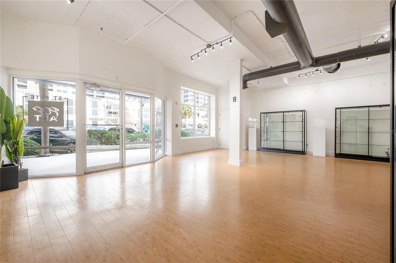 1010 CENTRAL AVE #106, ST PETERSBURG, FL, 33705