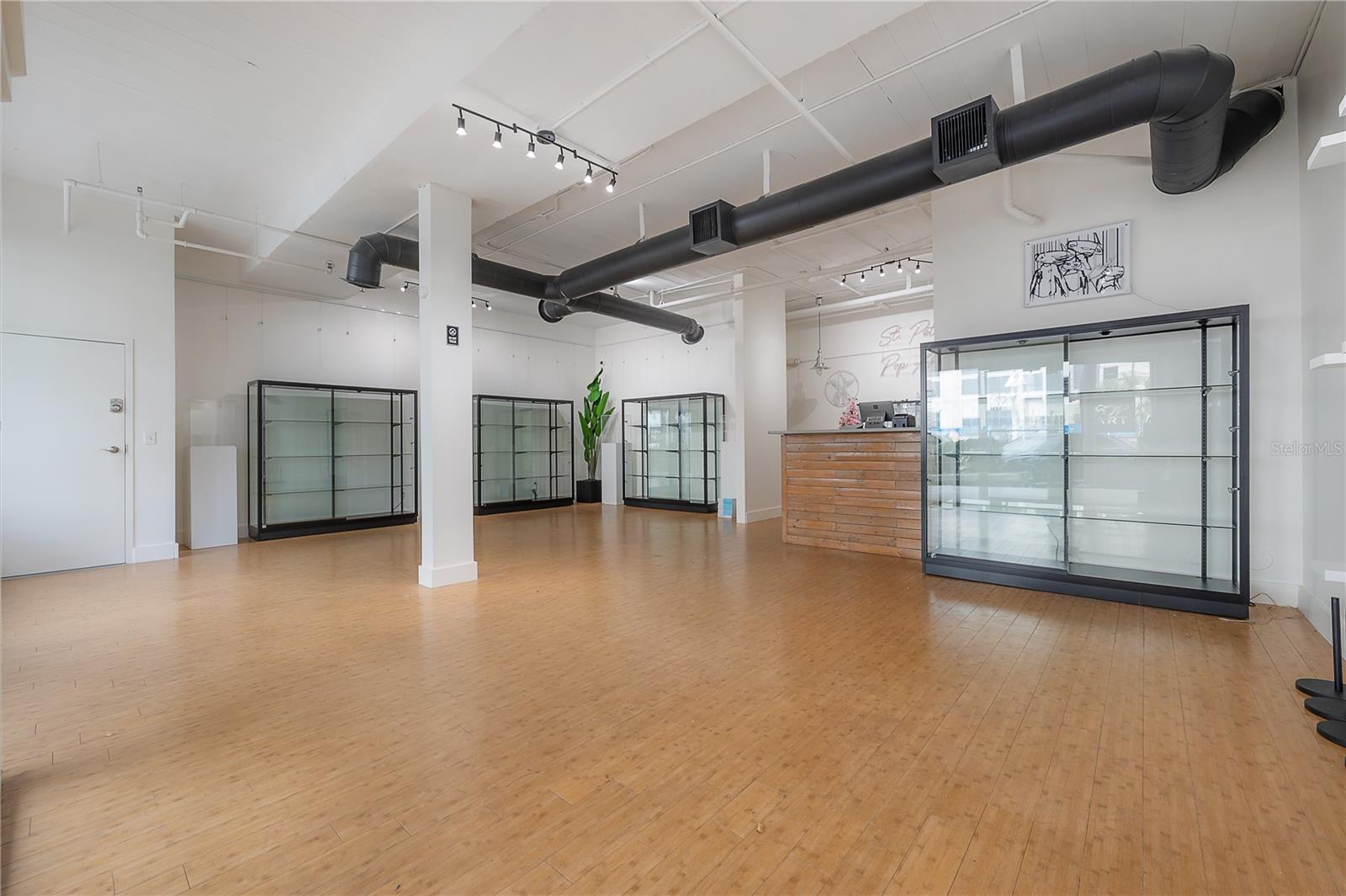 1010 CENTRAL AVE #106, ST PETERSBURG, FL, 33705