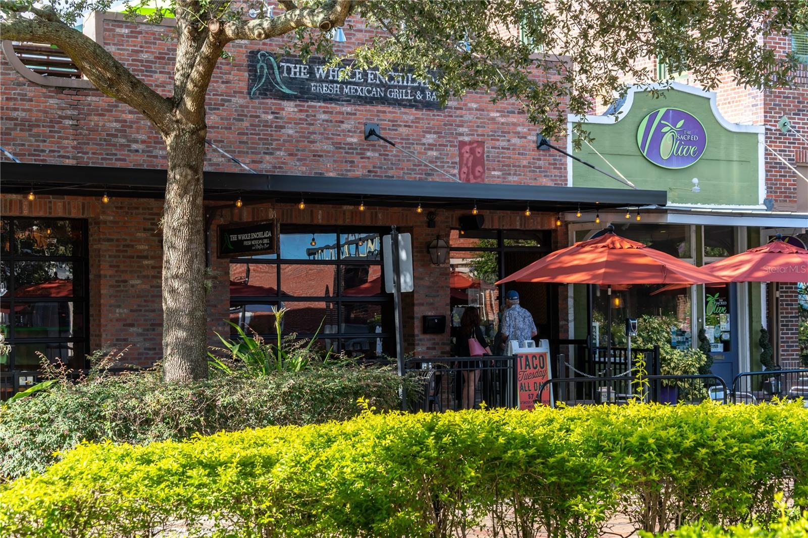 16926 RESEDA ALY, WINTER GARDEN, FL, 34787