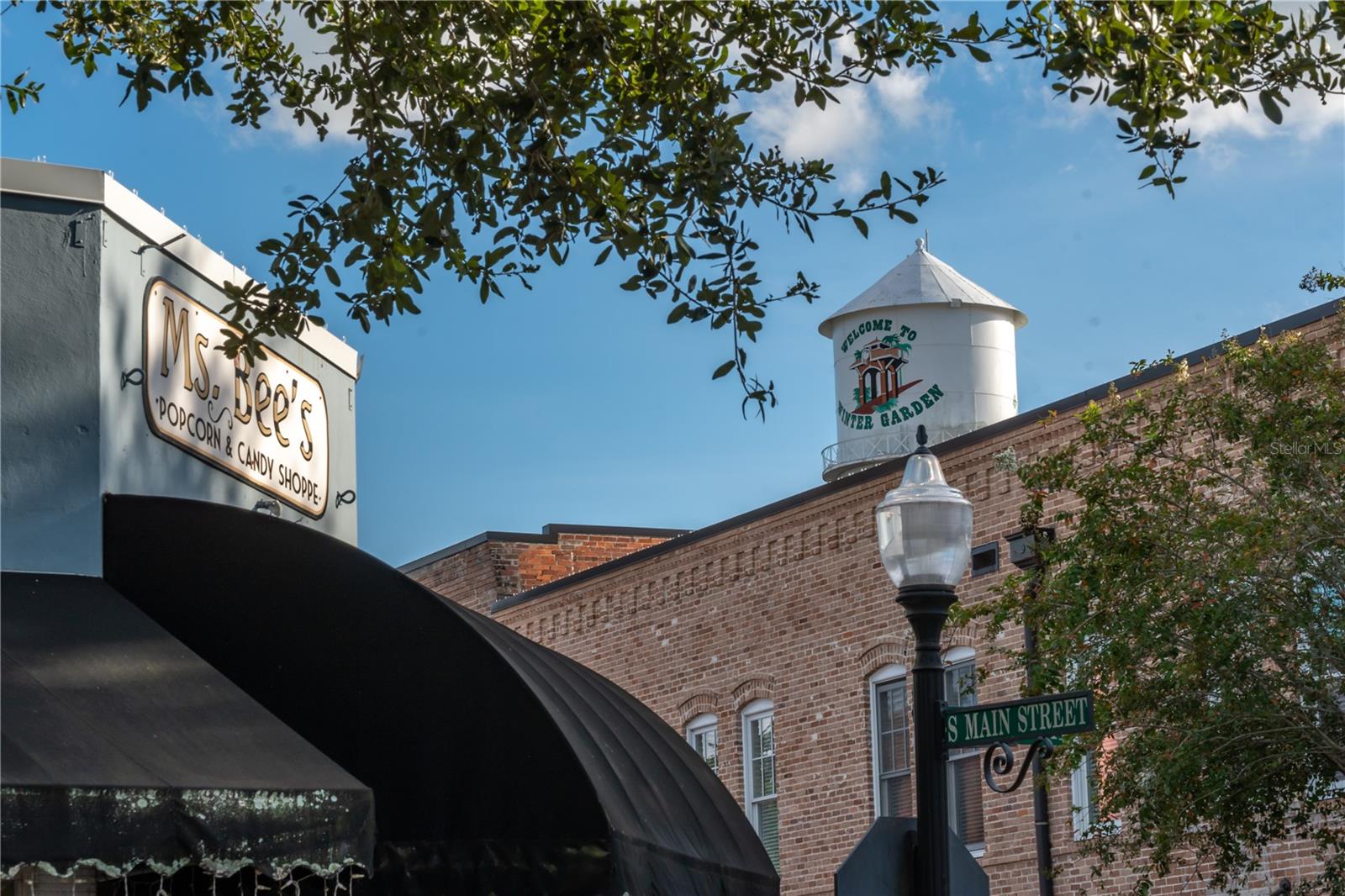 16926 RESEDA ALY, WINTER GARDEN, FL, 34787