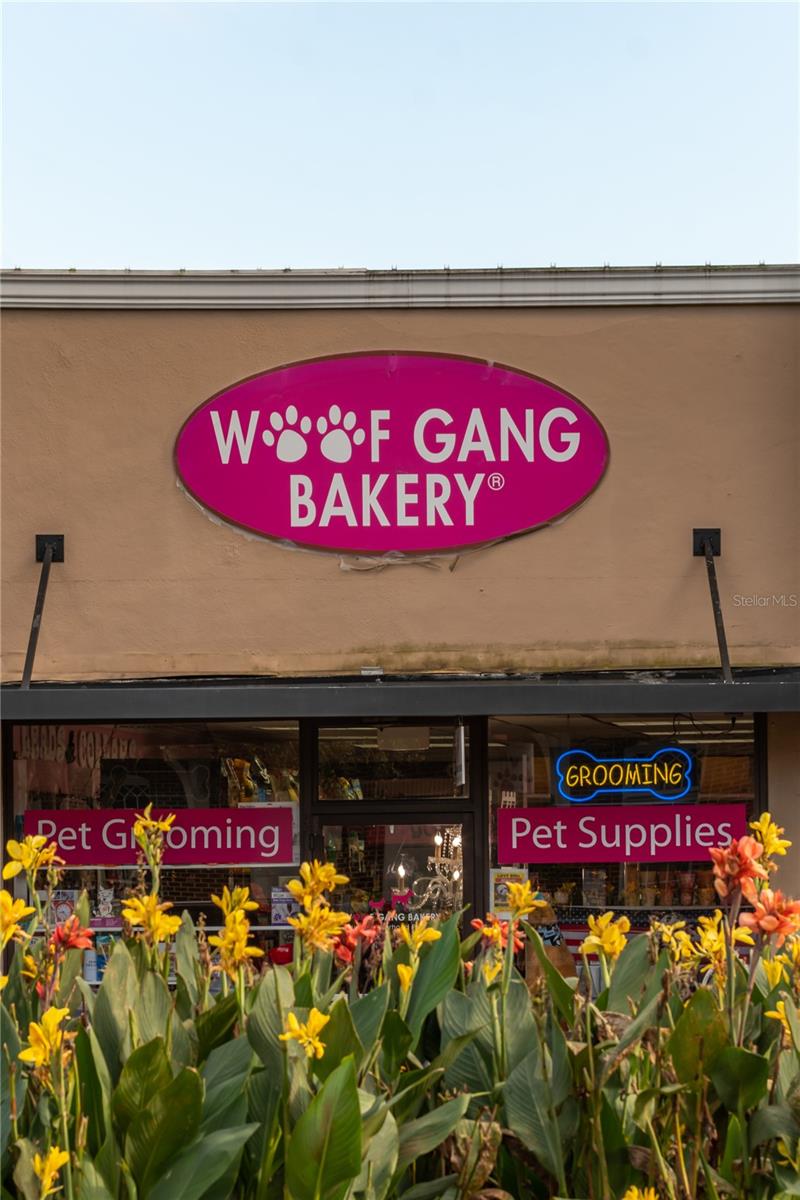 16926 RESEDA ALY, WINTER GARDEN, FL, 34787